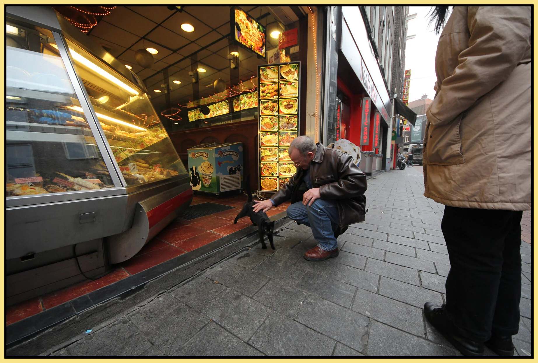 Amsterdam Cat_Nov 8_2011_1759_4x6s.jpg