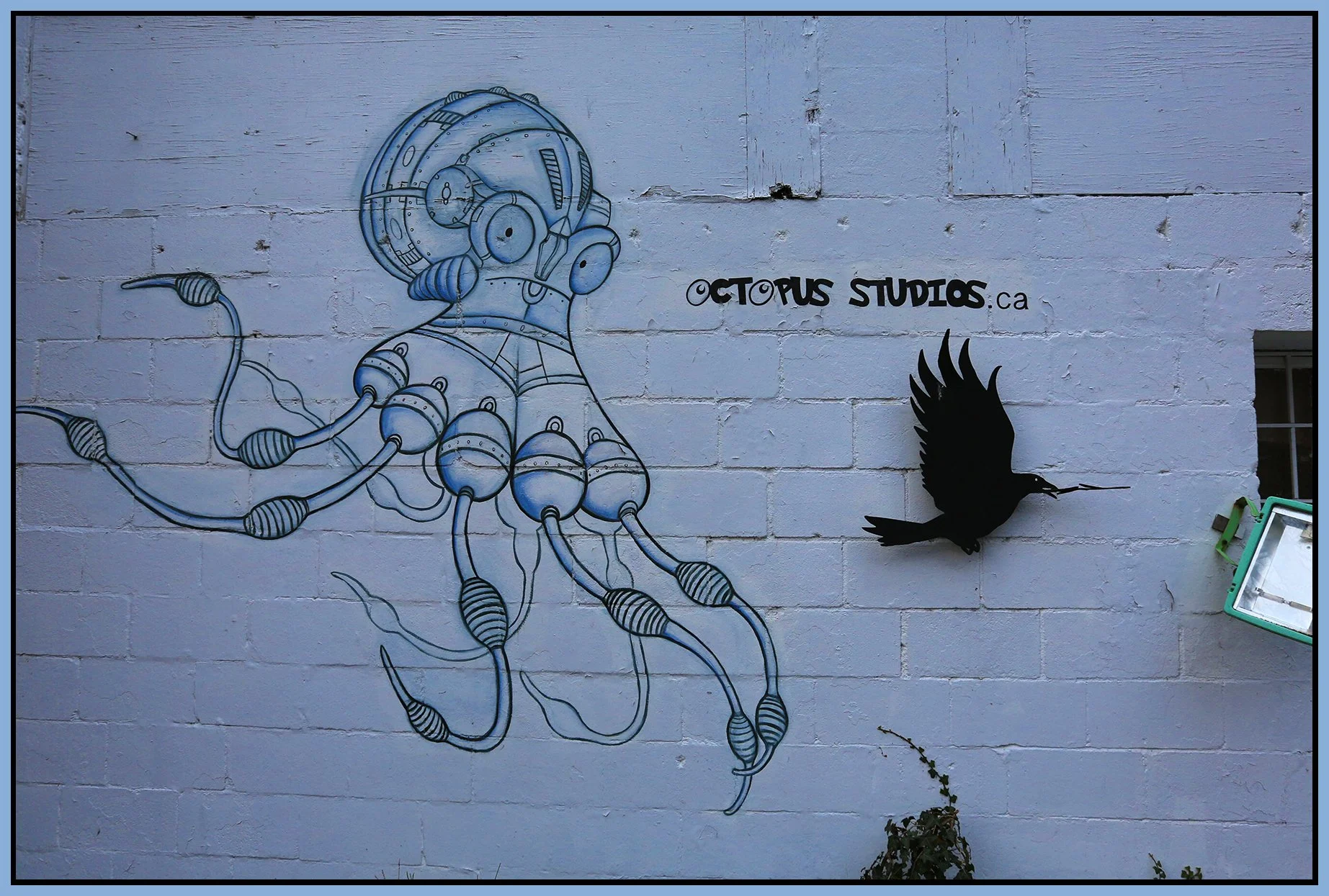 Octopus Studios Black Bird_Nov 8_2015_HDR_H0038_4x6s.jpg