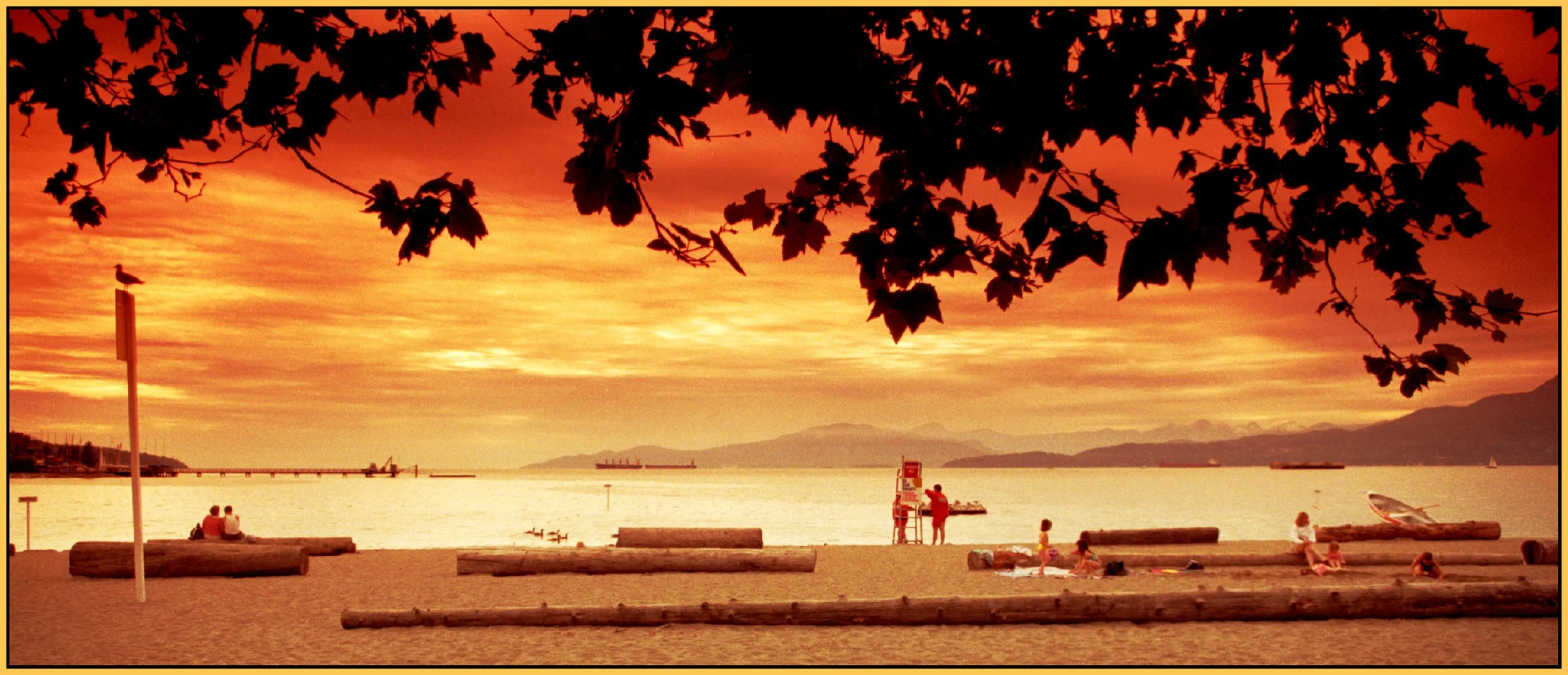 Kits Beach_Jun 29_1996_2_1s.jpg