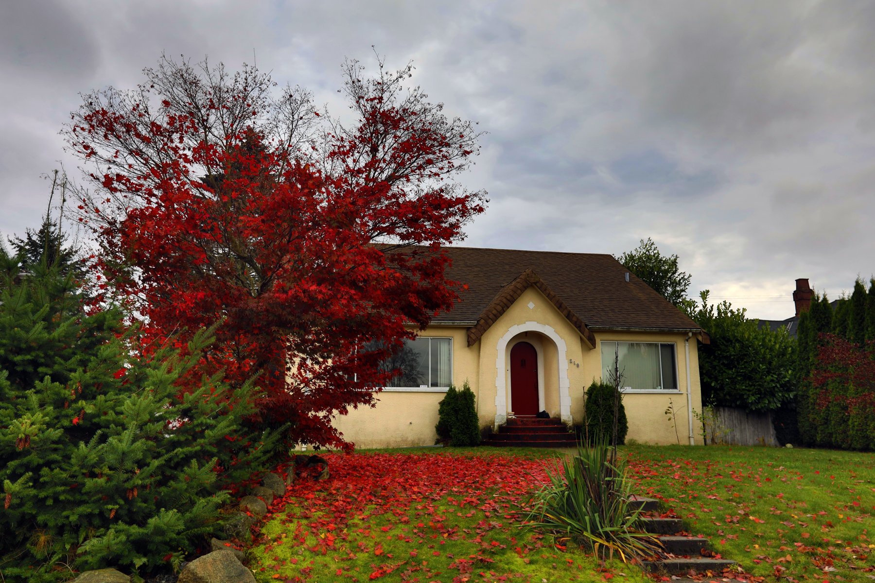 210 King Edward_Vancouver_Nov 3_2016_HDR_A6487_4x6.jpg