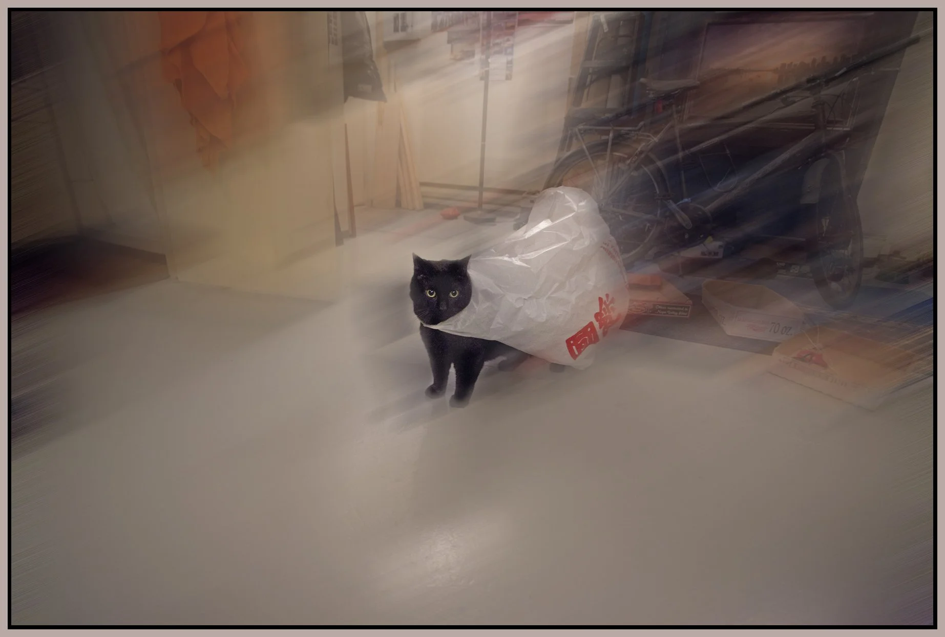 CC_Feb 11_2011_1643_1_4x6s.jpg