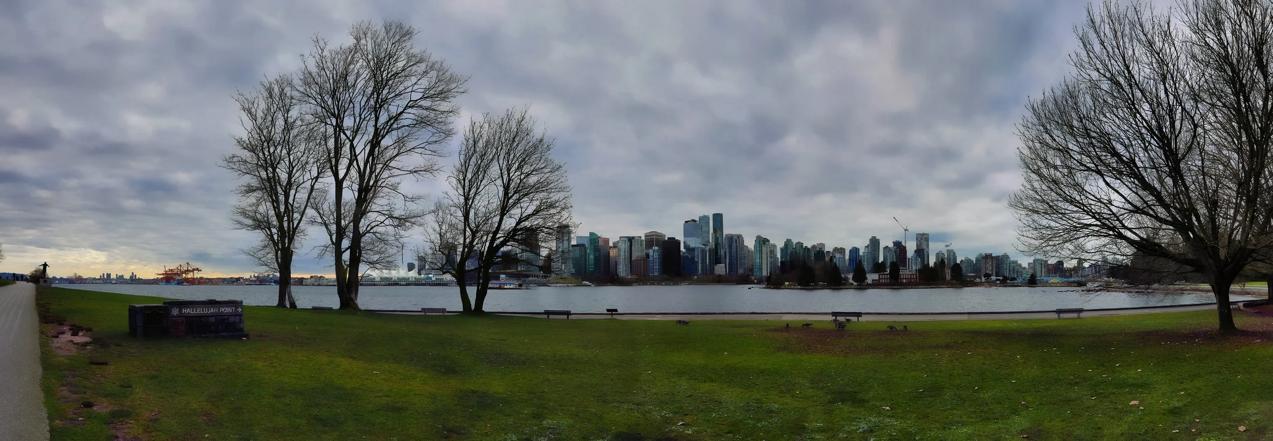 Vancouver from Stanley Park LkgS_Feb 20_2026_HDR_Pan_4K8959_1_peShdngCntrst_4x12.jpg