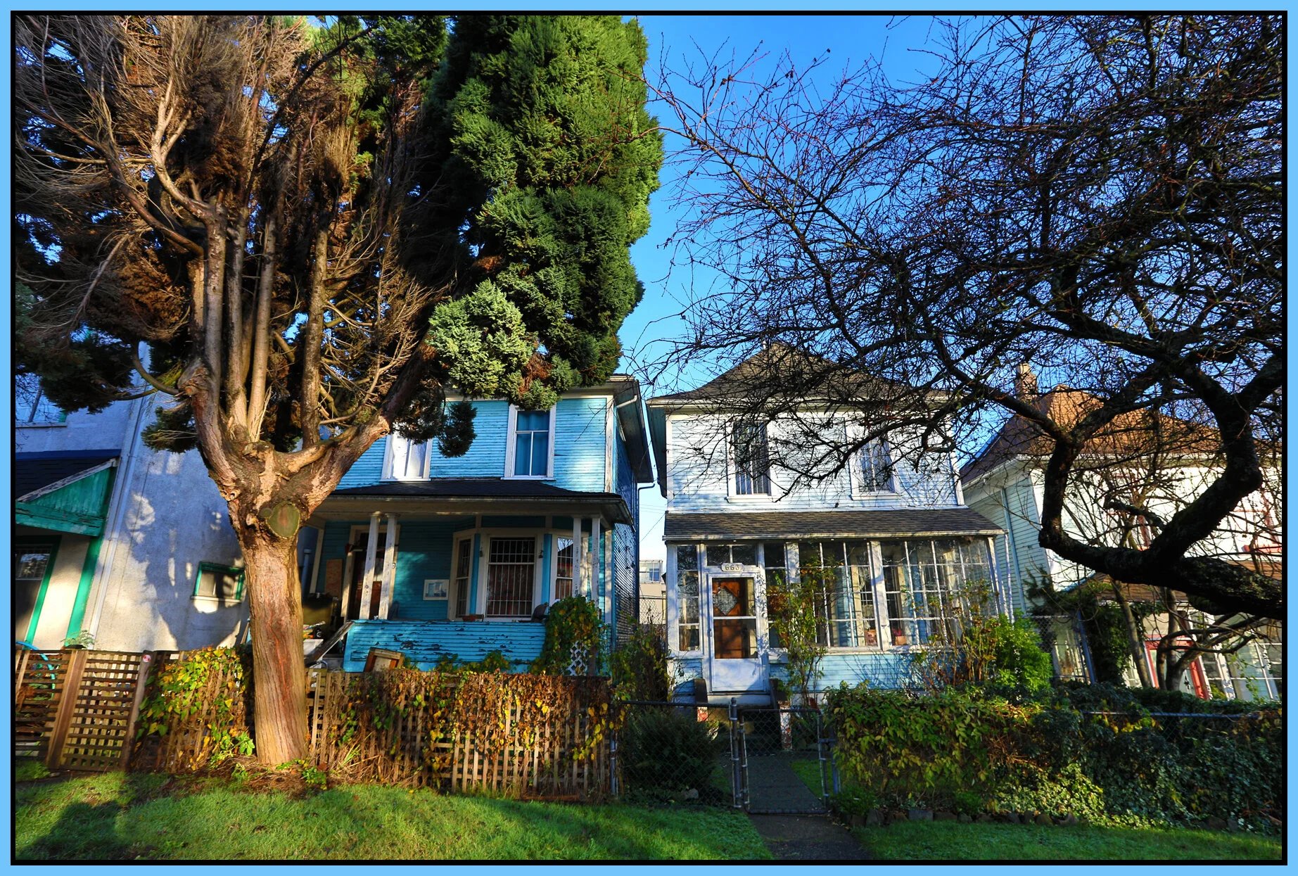 663 E Pender Trees_Nov 27_2017_HDR_B1897_4x6s.jpg