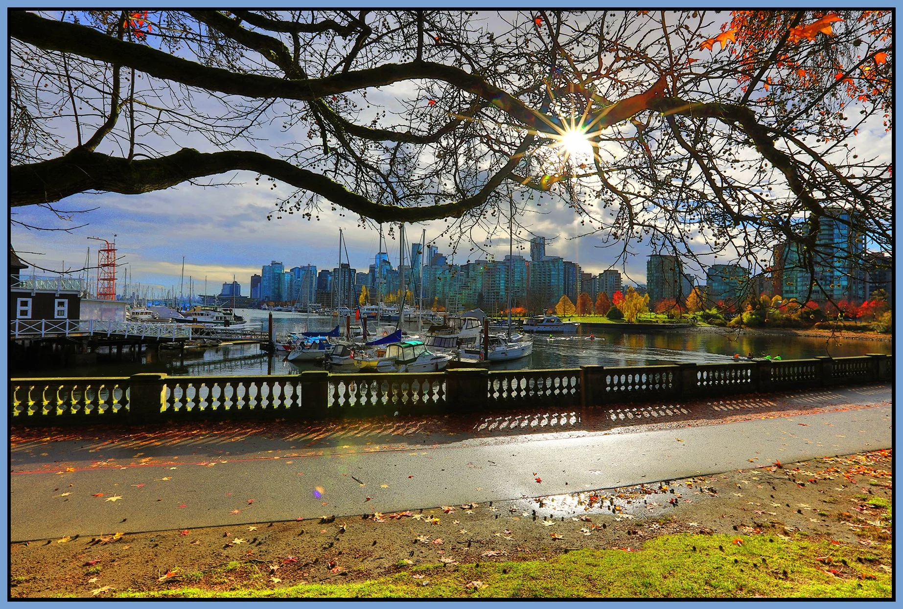 Stanley Park LkgSW_Nov 12_2023_HDR_5C9484_peVibrClrs_4x6s.jpg