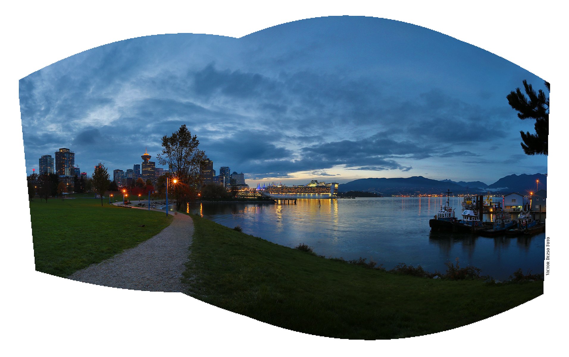 Crab Park Tree Lkg SW_Nov 8_2015_HDR_Pan_H0226_4x6.jpg
