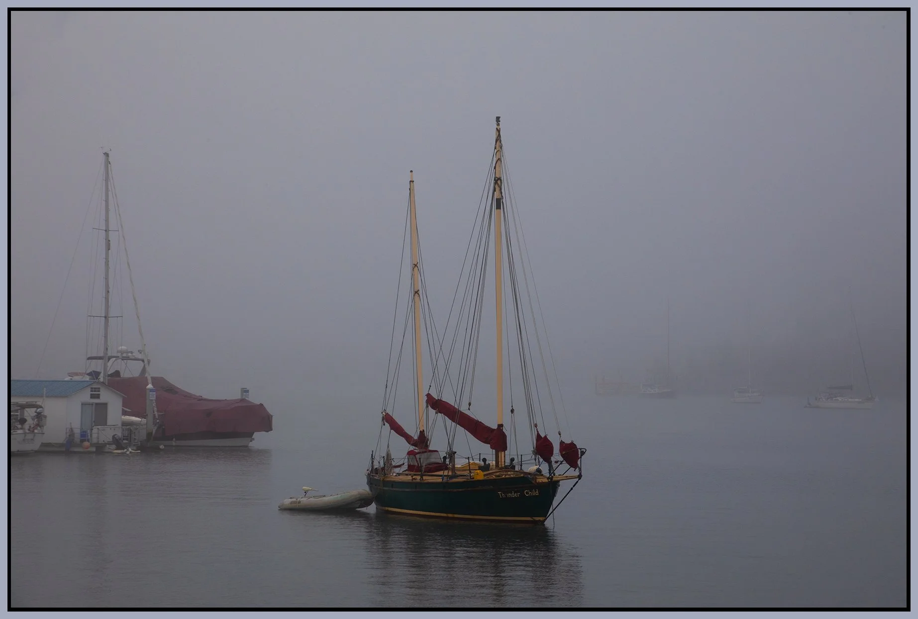 False Creek Fog_Nov 26_2023_CR2_4H9221_4x6s.jpg