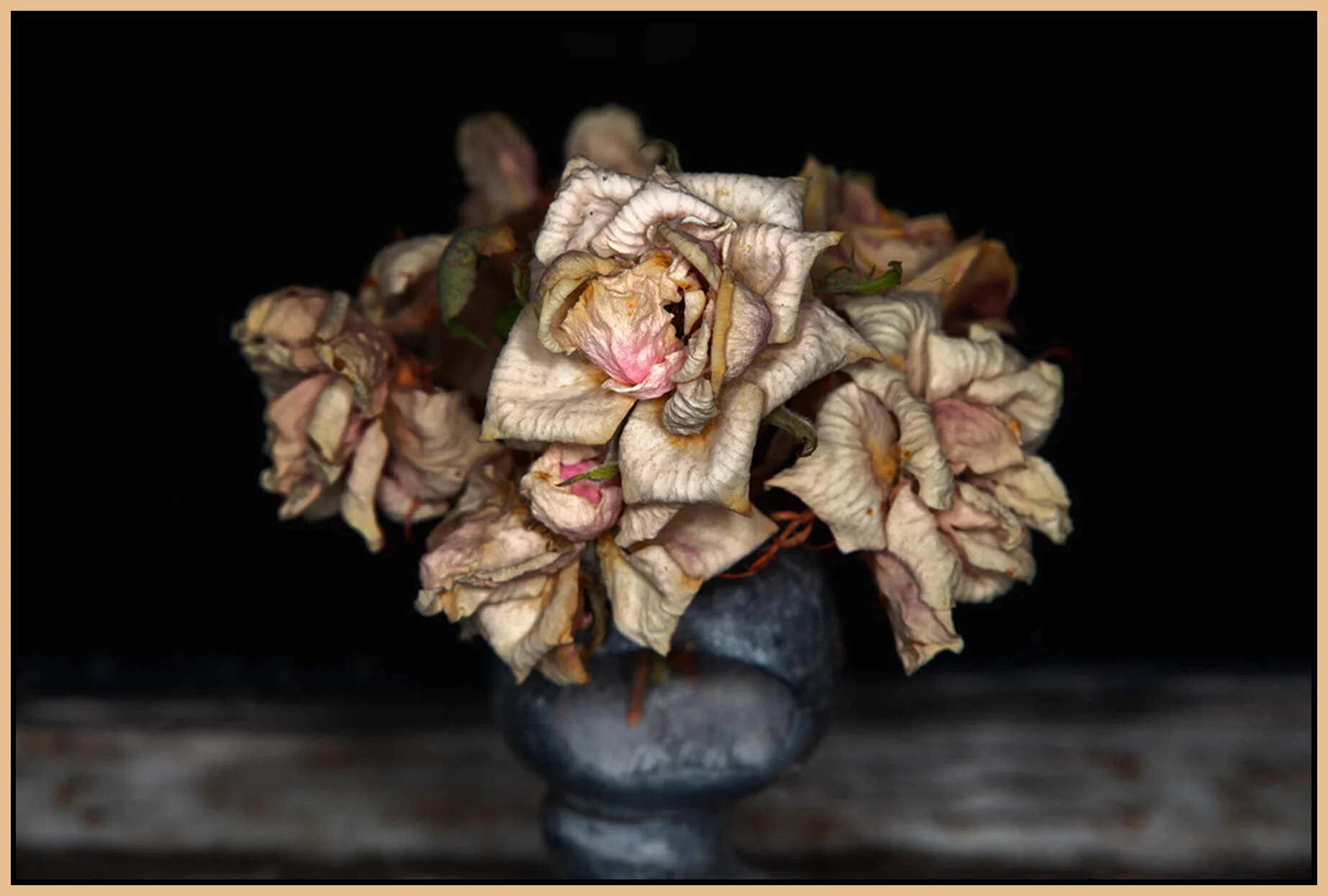 Flowers+Dried_Sep+25_2020_CR2_4G4442_peLumnsty_4x6s.jpg