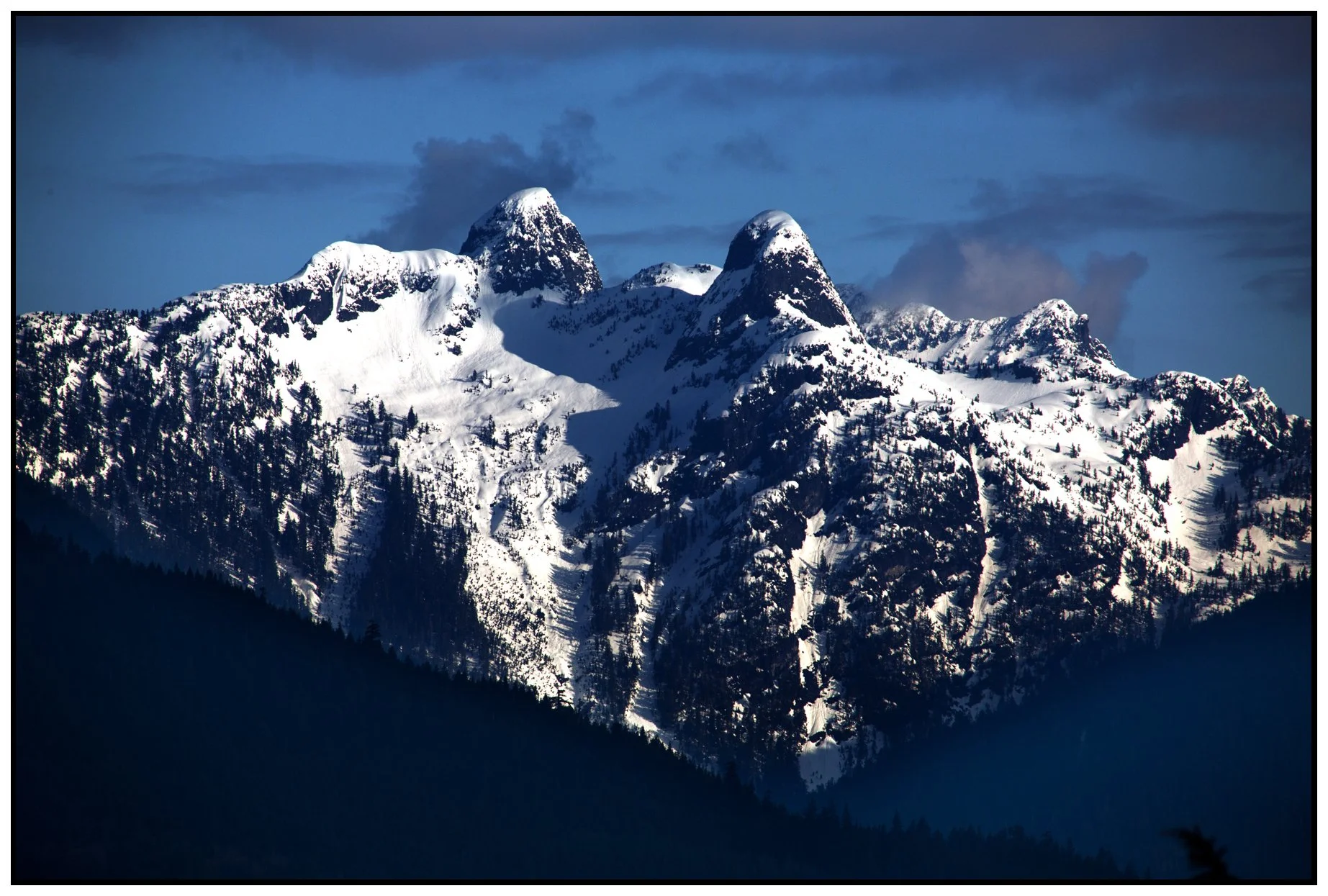 Lions Ears_Mar 29_2013_A0847_4x6s.jpg