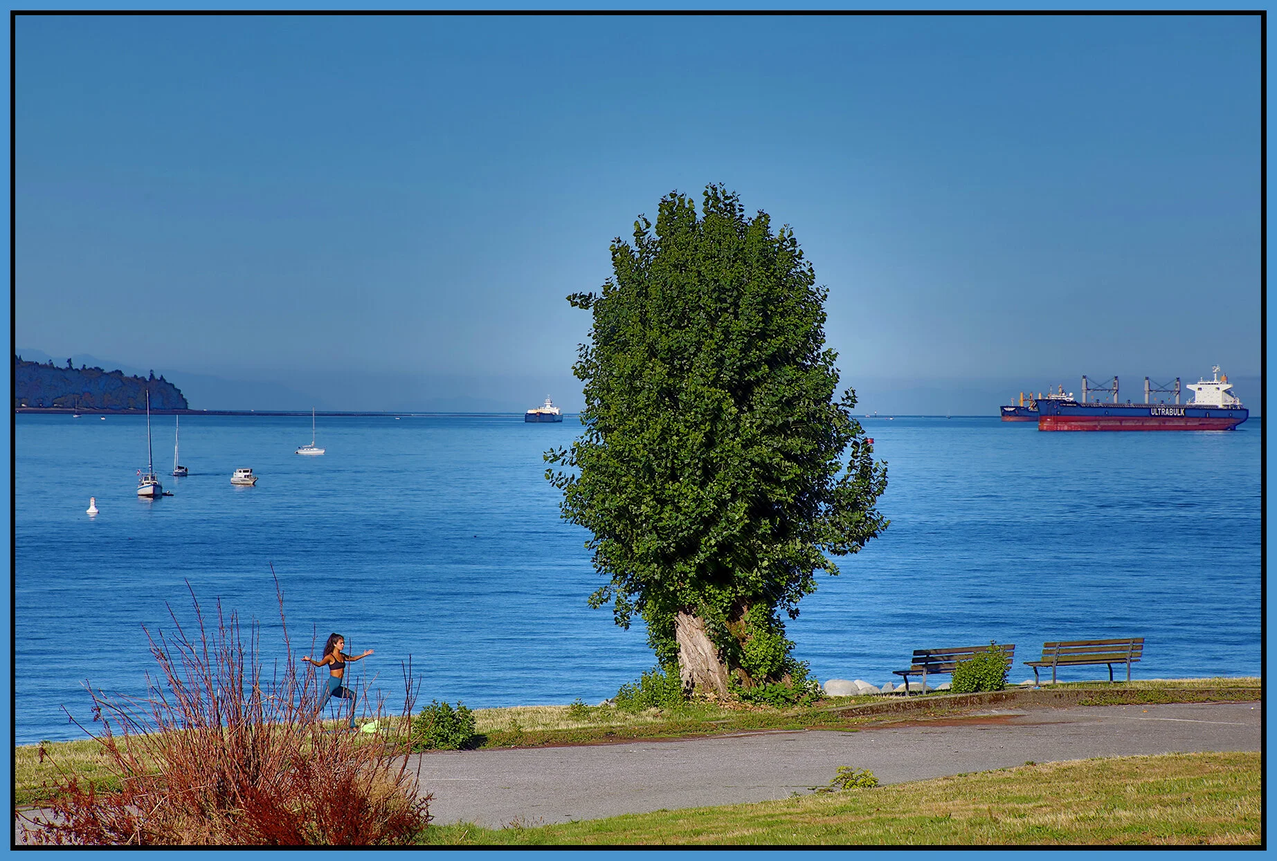English Bay Tree_Sep 2_2021_HDR_4G2869_4x6s.jpg