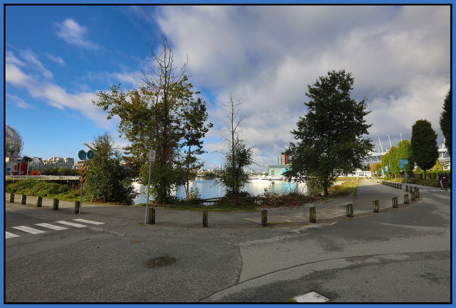 6 View Trees_Sep 21_2025_HDR_4K3335_4x6s.jpg