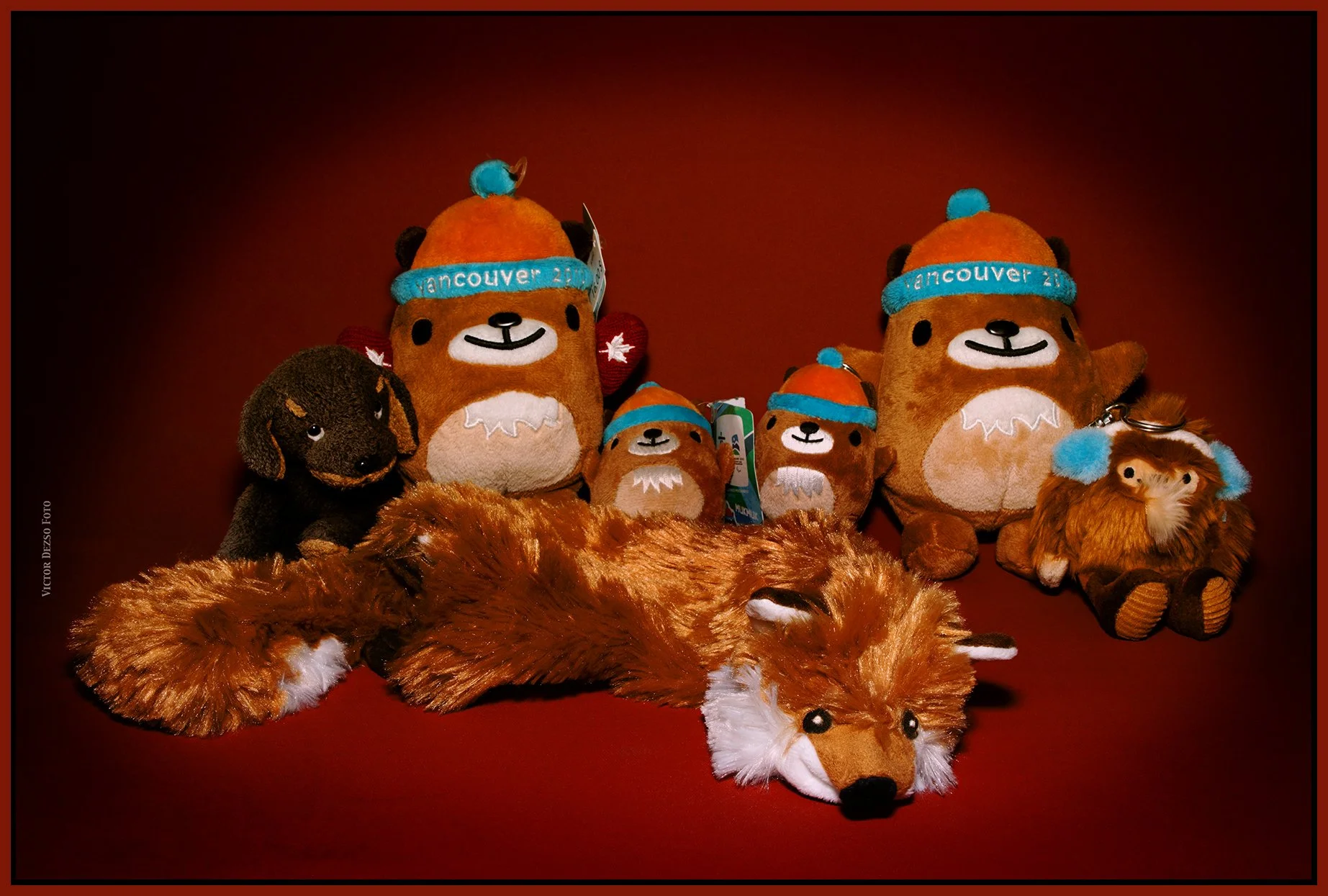 Tykes_Dec 17_2025_CR2_5F5535_peEWGT_4x6s.jpg