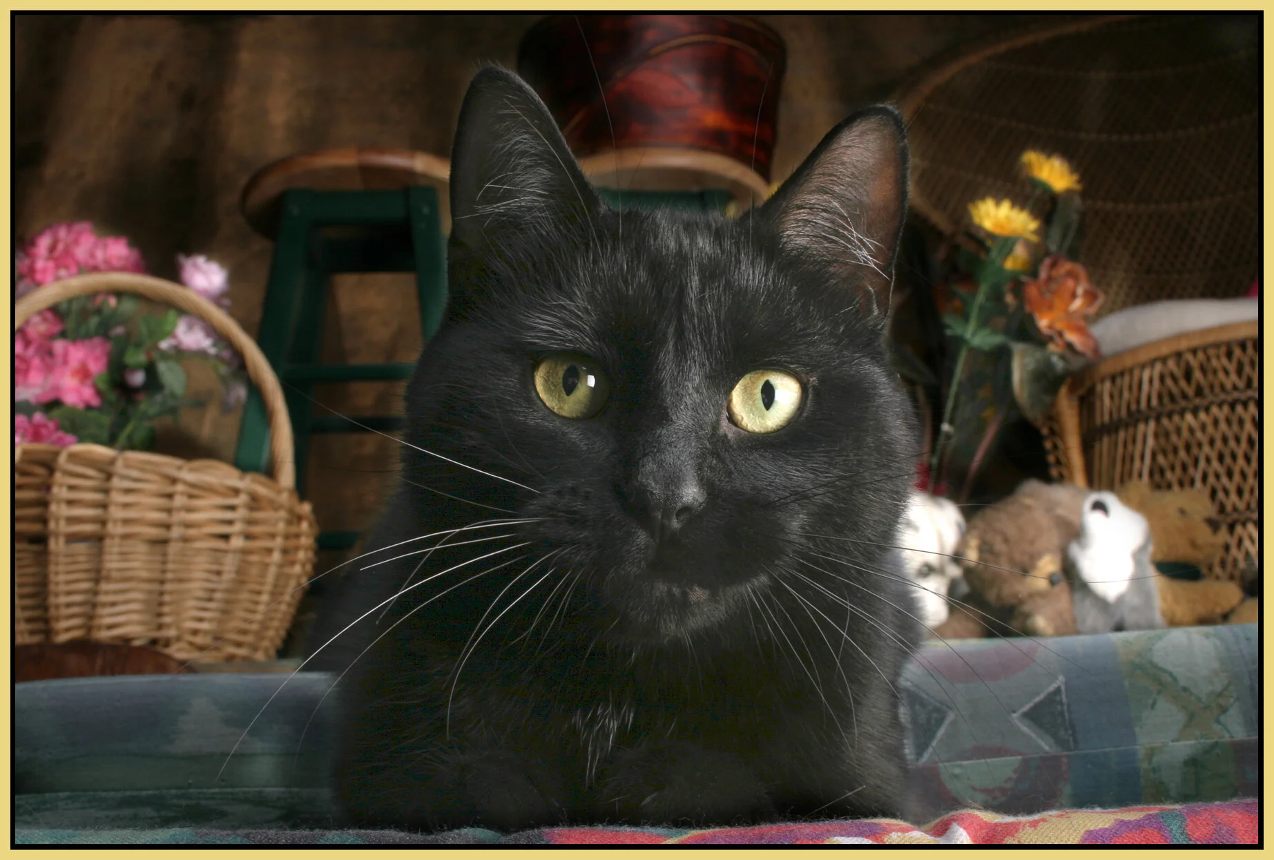 CC_Sep 23_2006_3479_4x6s.jpg