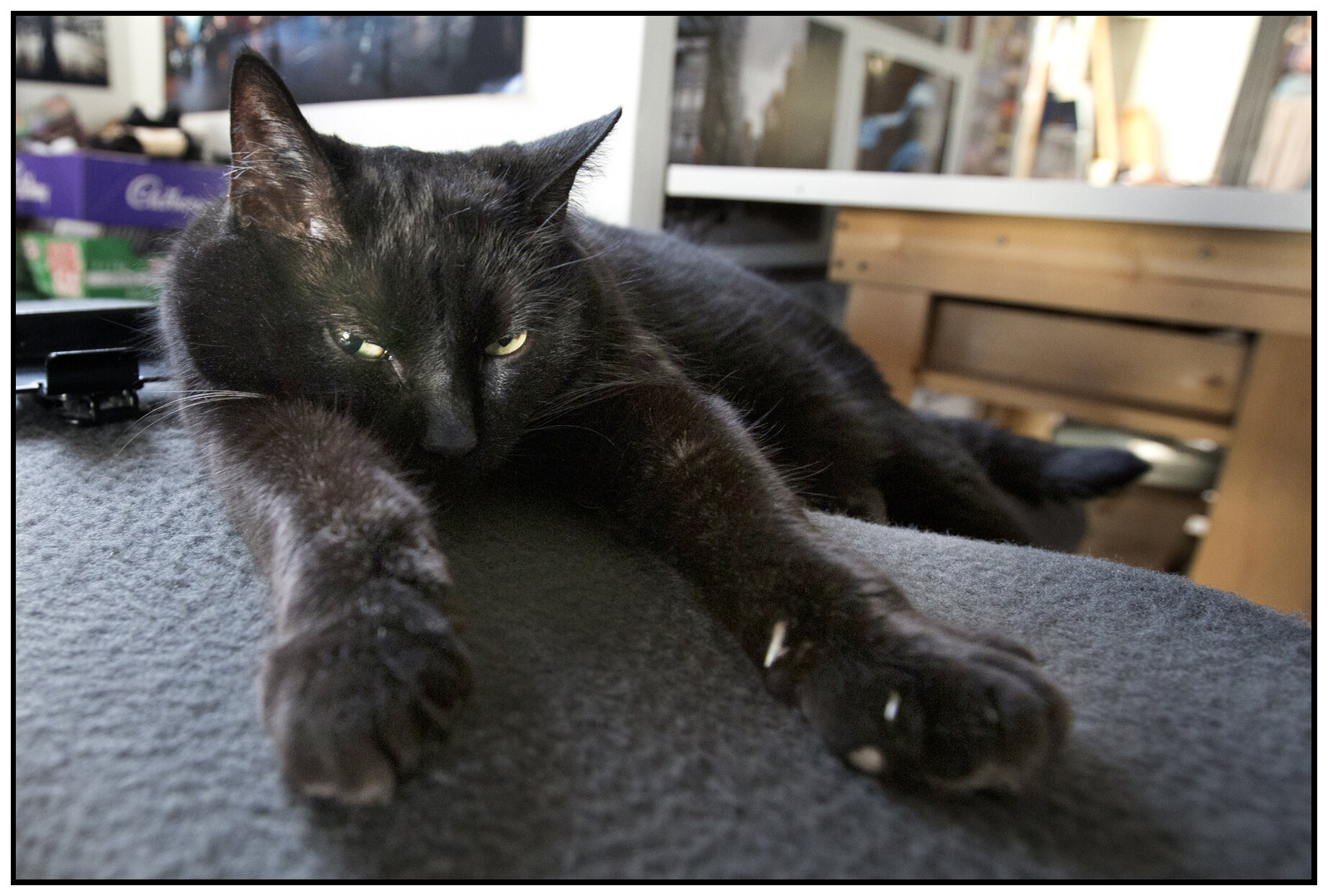 CC_May 15_2012_C0135_1_4x6s.jpg