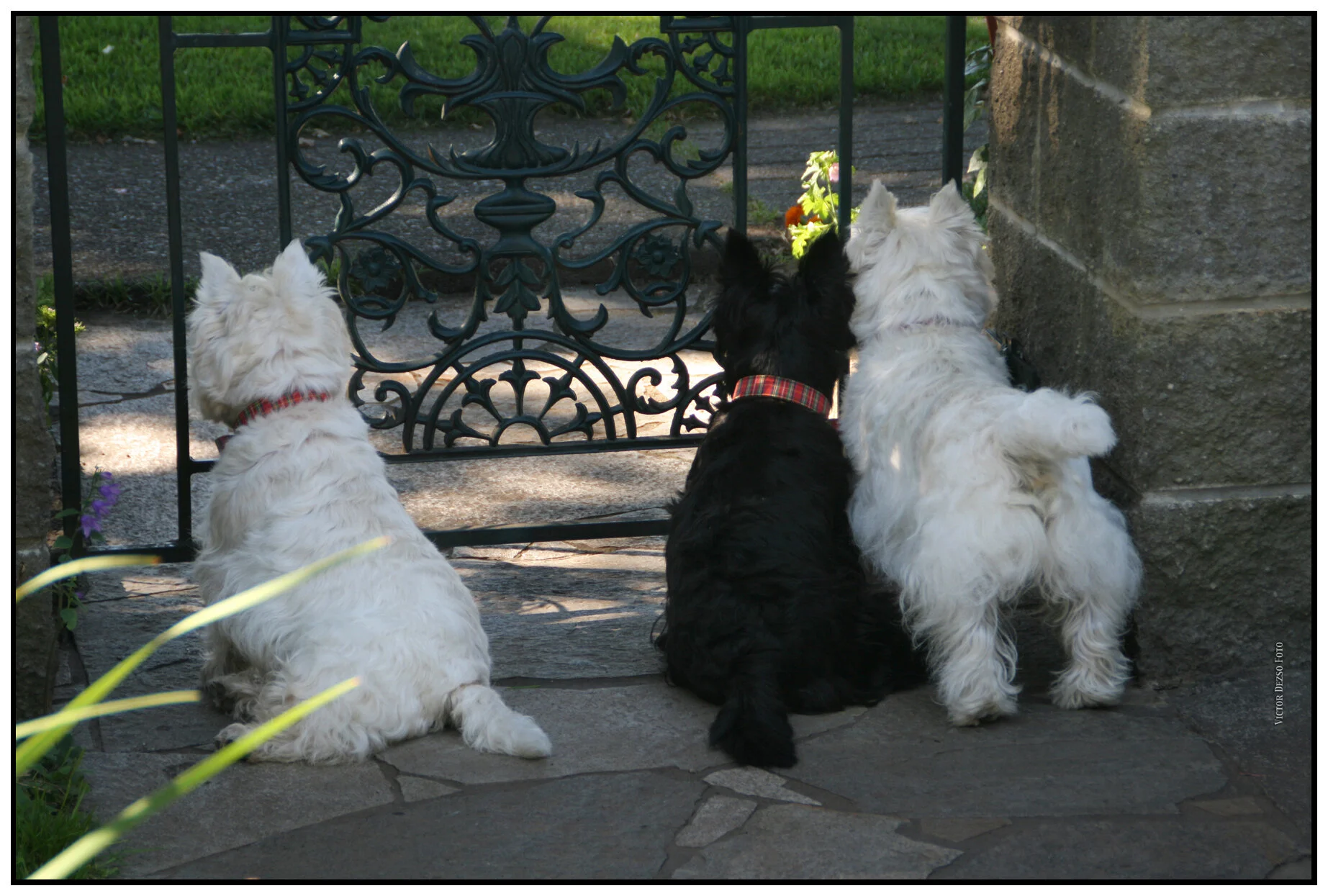 The Trio_8202_4x6s.jpg