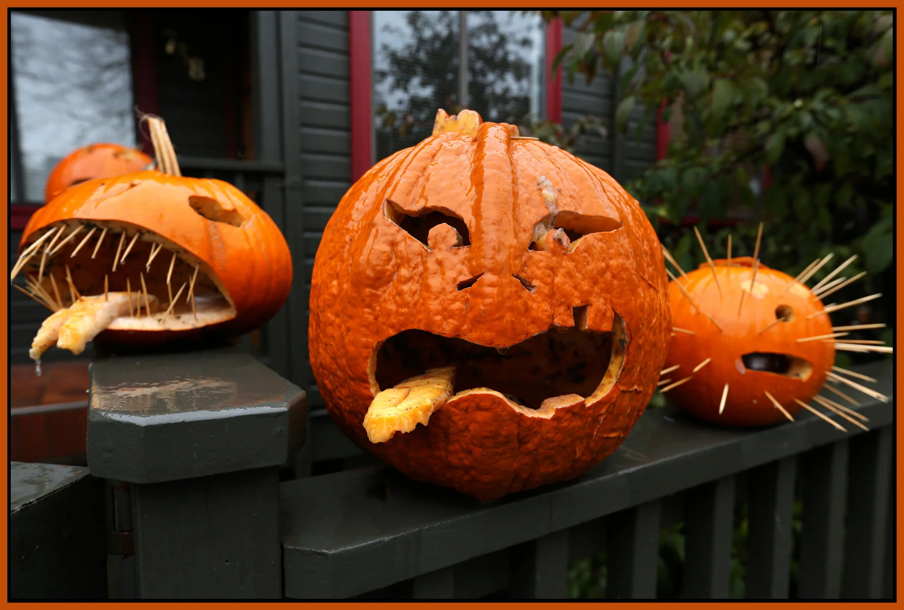Pumpkins_Oct 31_2012_C2643_4x6s.jpg