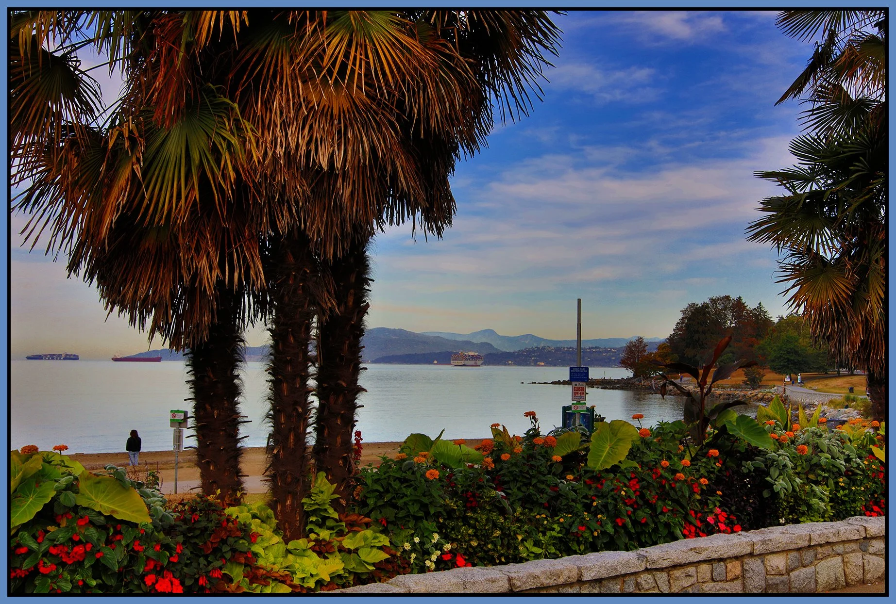 English Bay Palm Trees_Sep 26_2022_HDR_5B9949_peExpMrg_4x6s.jpg