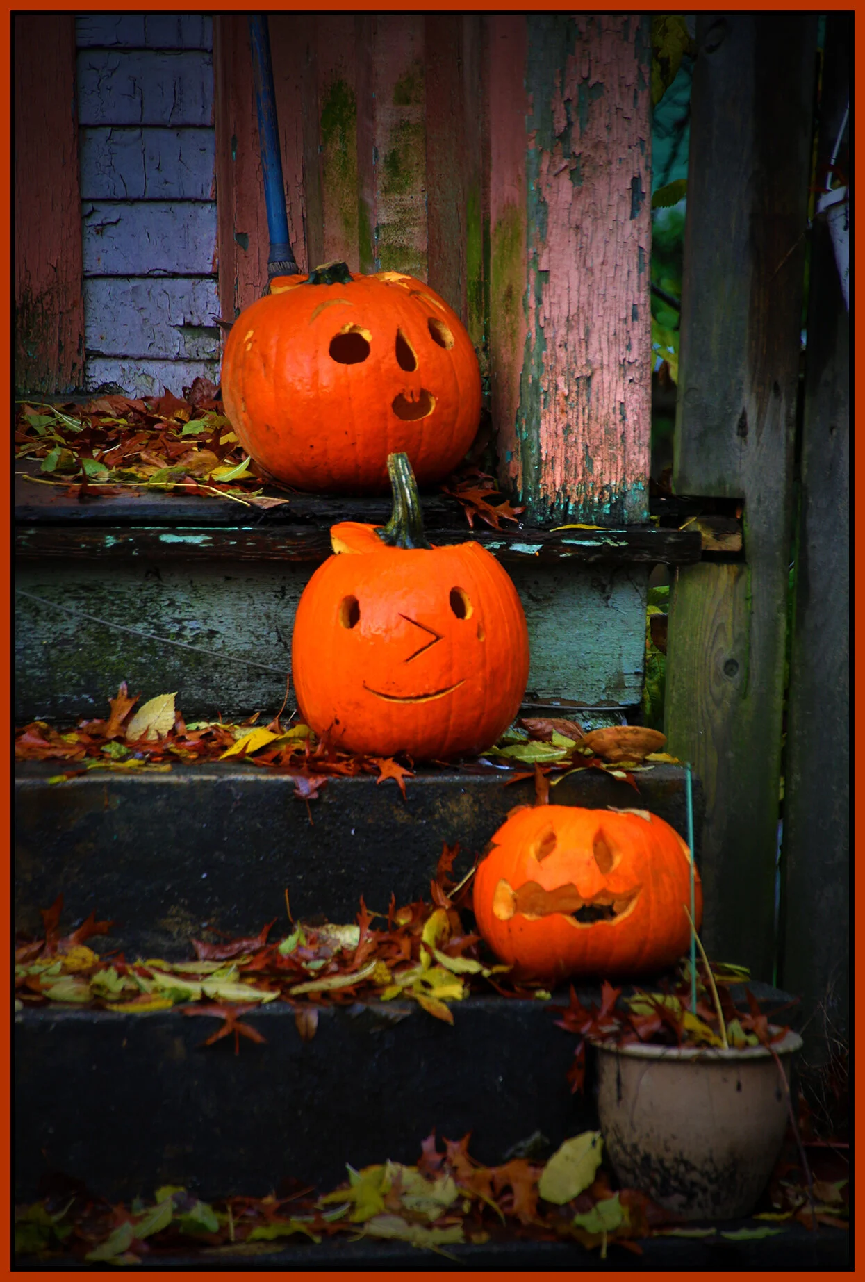 700 Jackson Pumpkins_Oct 28_2018_HDR_A0412_peIntns_4x6s.jpg
