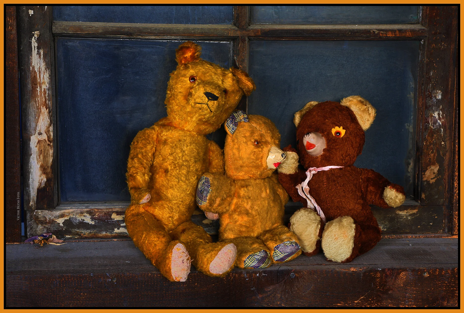 Barbara's Teddy Bears_Aug 5_2020_HDR_3B9813_4x6s.jpg