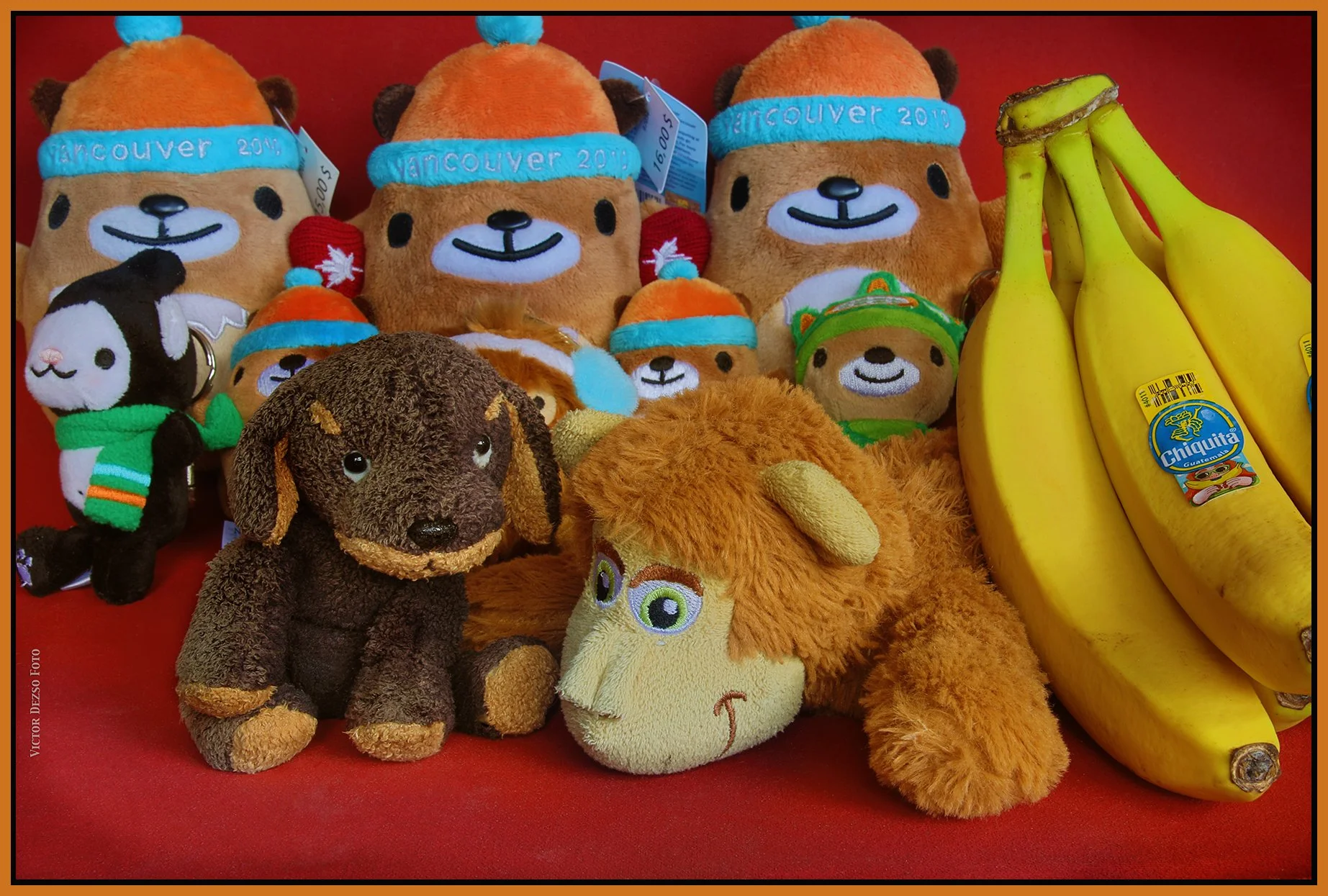 Monkey & Friends_Feb 16_2025_HDR_4J5655_4x6s.jpg