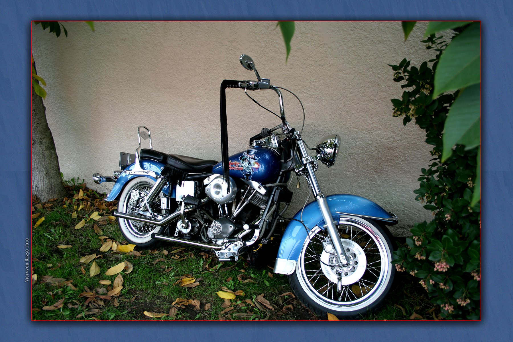 Harley Davidson on Bayswater_1971_1_4x6s.jpg