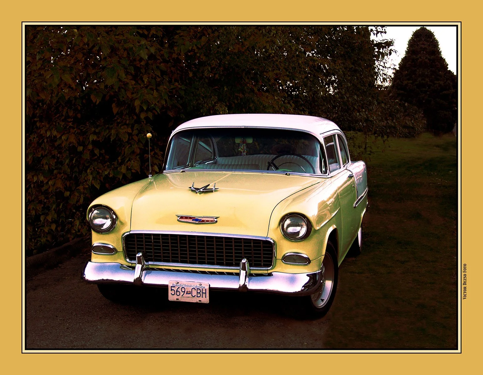 56 Chevy_Nov 11_2002_4x5s.jpg
