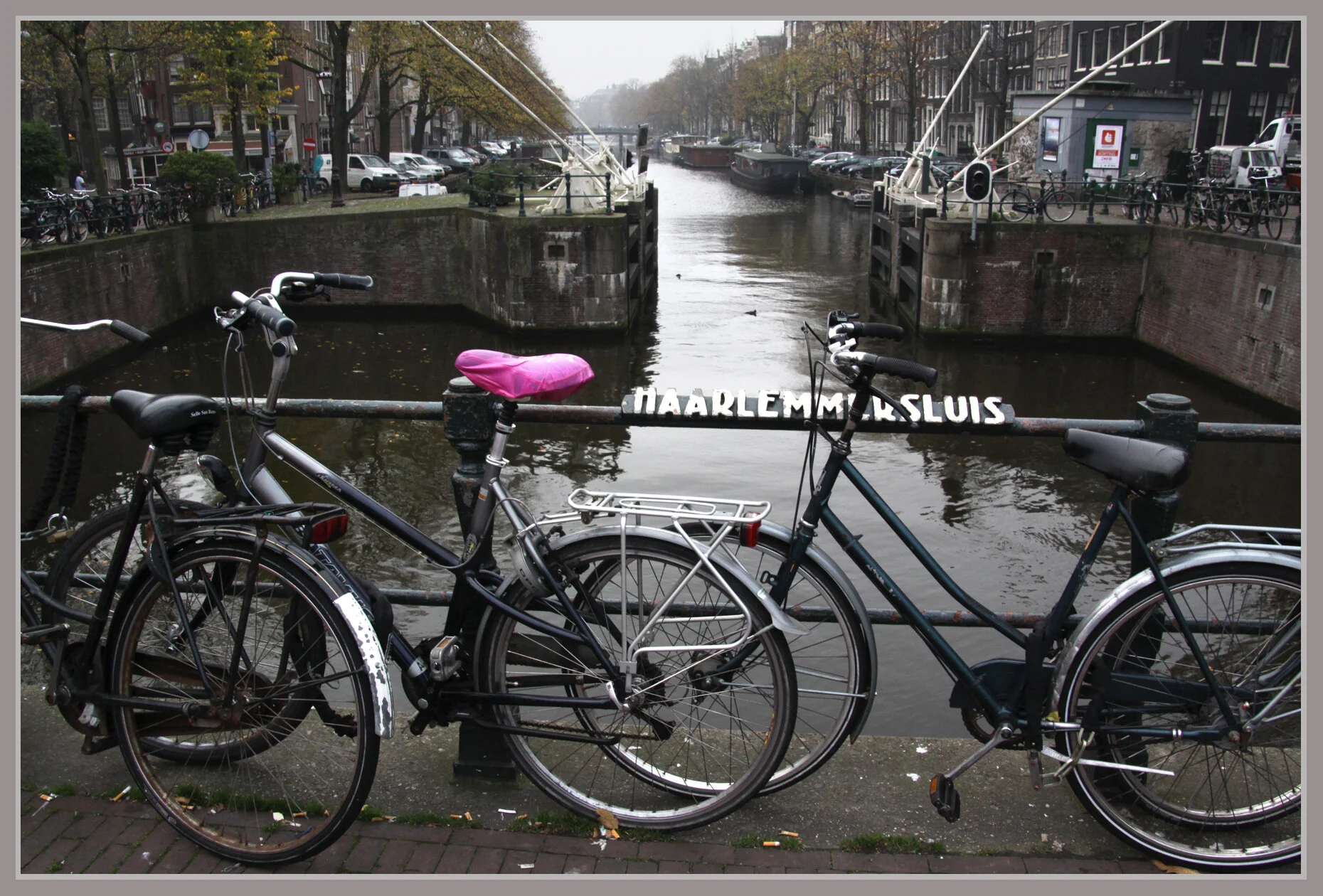 Amsterdam_Nov 8_2011_6626_4x6s.jpg
