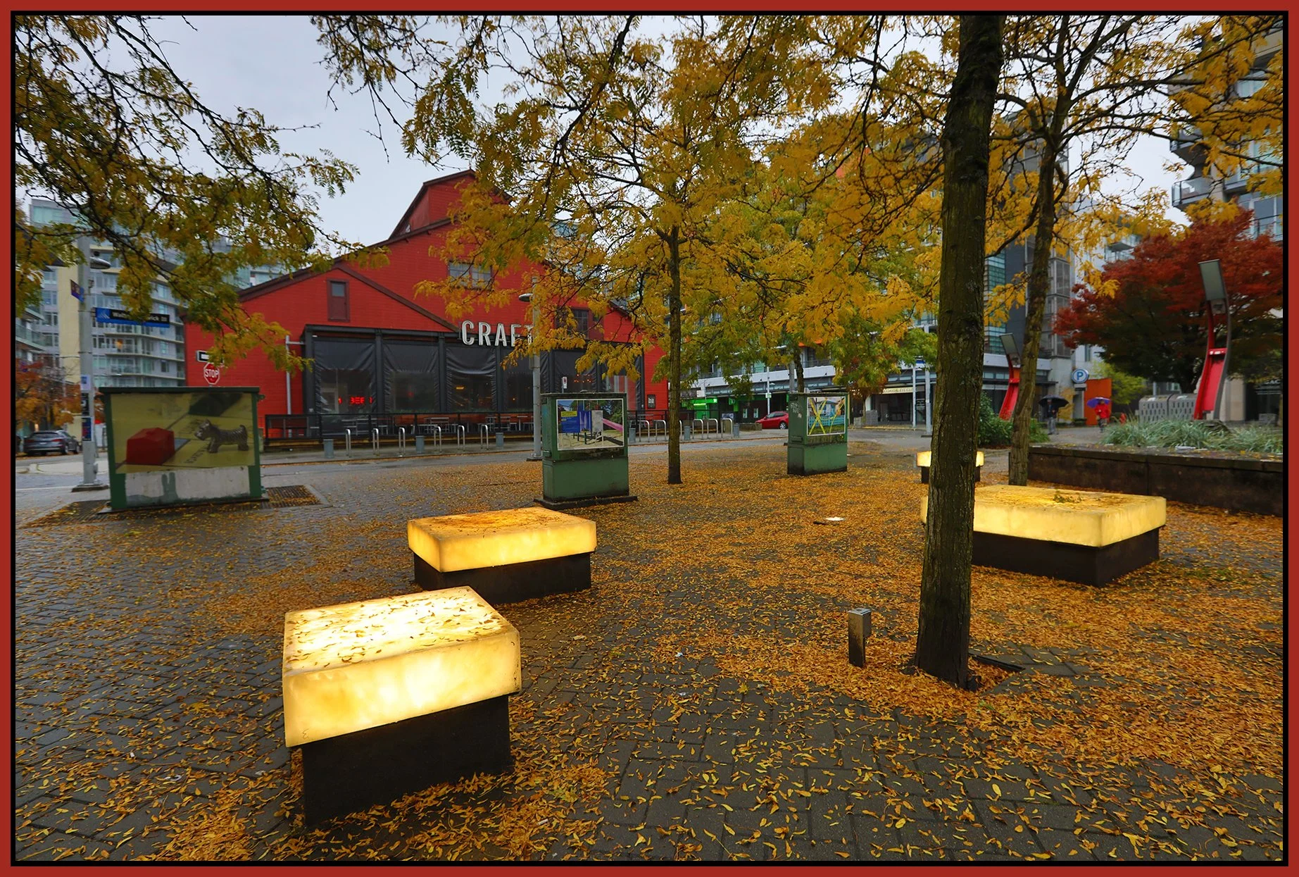 The Village Trees_Oct 14_2024_HDR_5E3028_4x6s.jpg