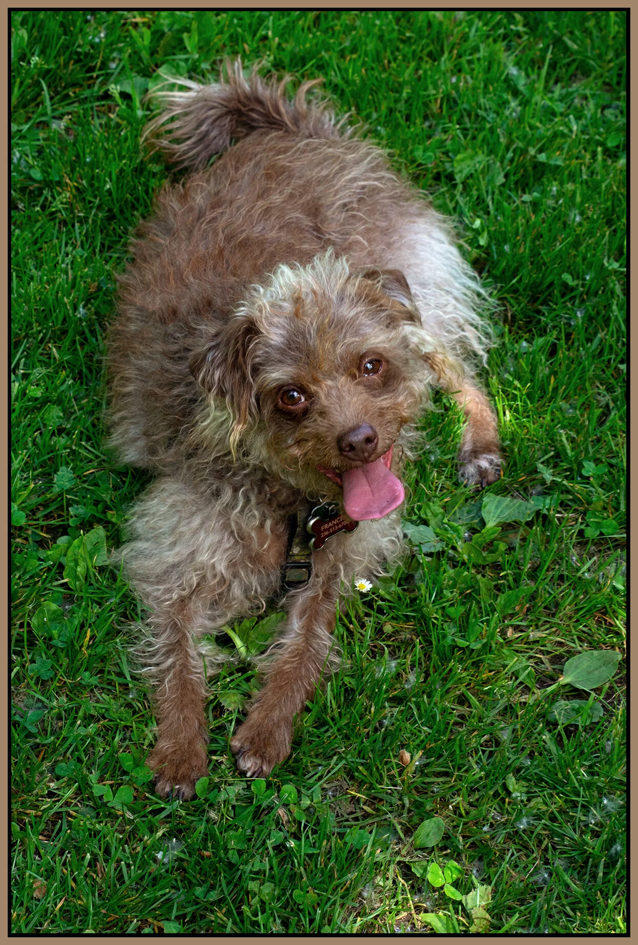 Frances in the Ravine_Jun 10_2021_CR2_4G9731_1_peLc_NatB II_4x6s.jpg