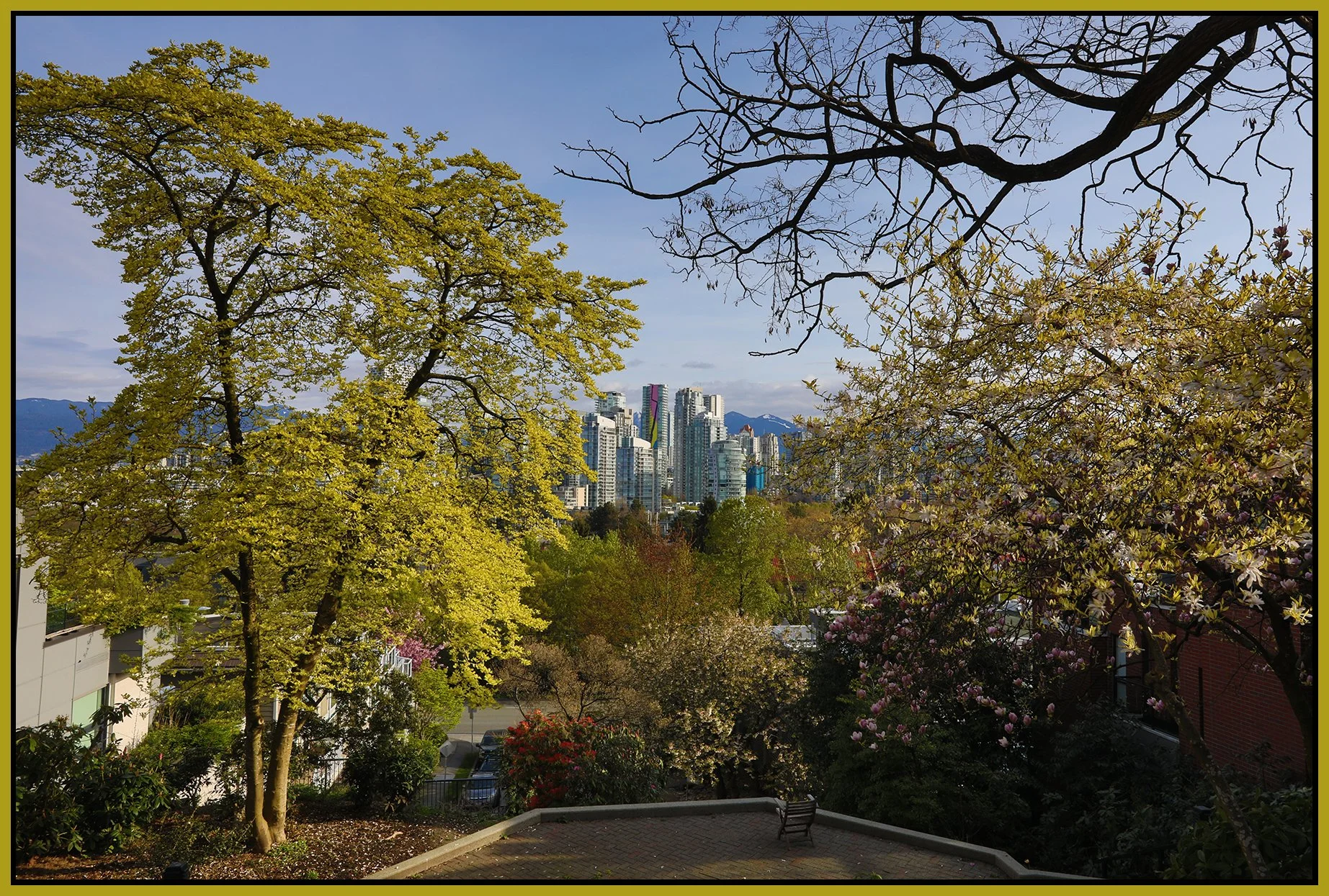 Vancouver from Choklit Park_Apr 24_2022_HDR_5B3483_4x6s.jpg