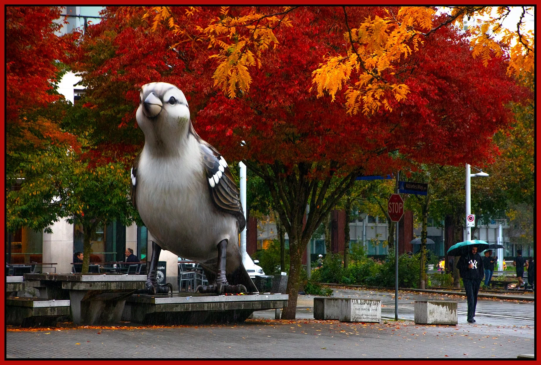 The Village Trees & Art_Oct 14_2024_CR2_4J4325_4x6s.jpg