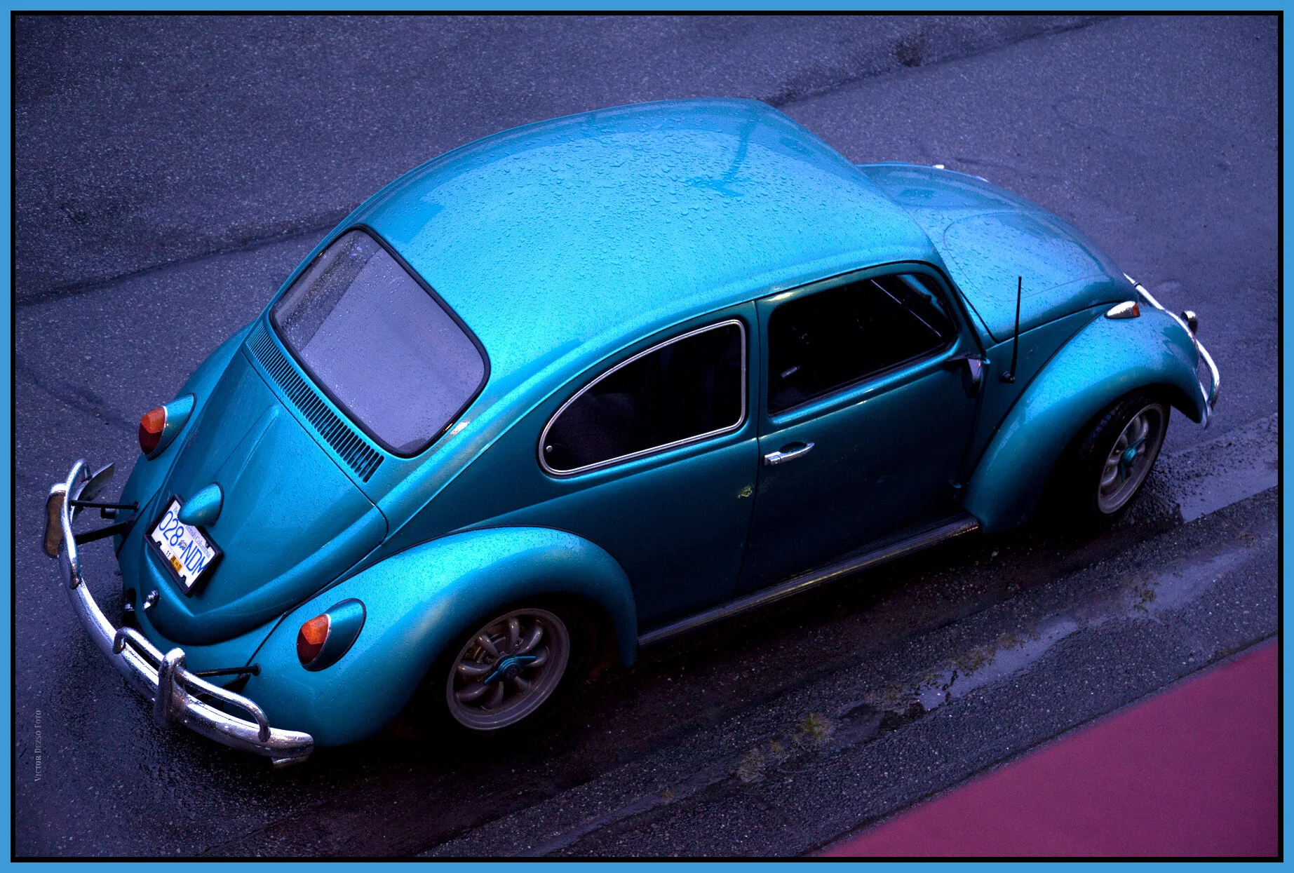 VW Bug_March 19_2011_7679_4x6s.jpg