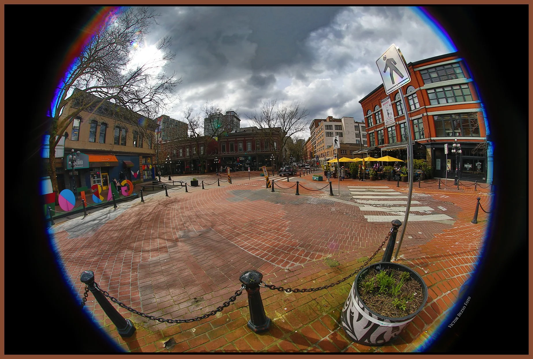Gastown Maple Tree Square_Apr 9_2025_HDR_3B0138_4x6s.jpg