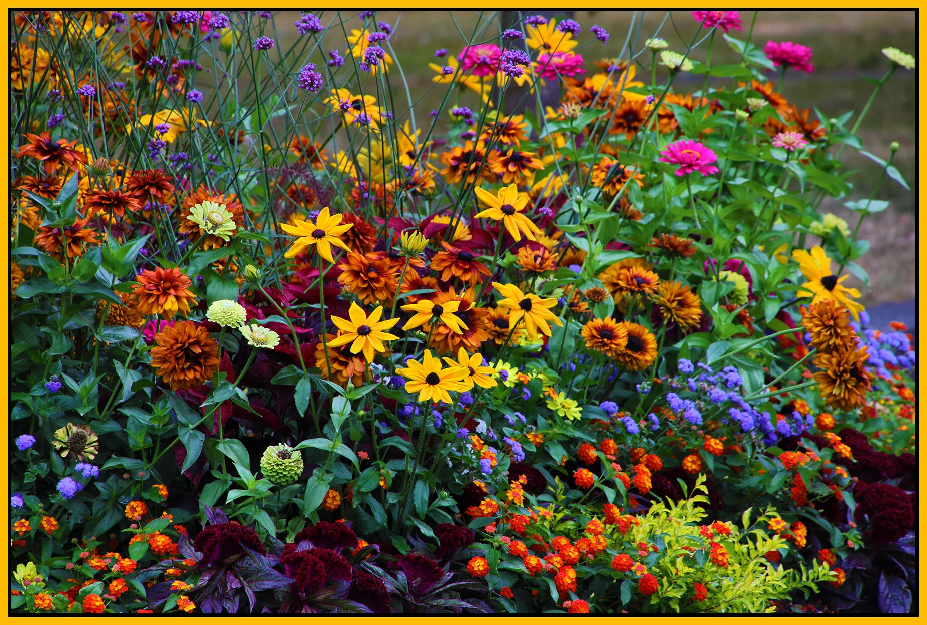 Flowers_Aug 8_2021_HDR_4G2341_4x6s.jpg