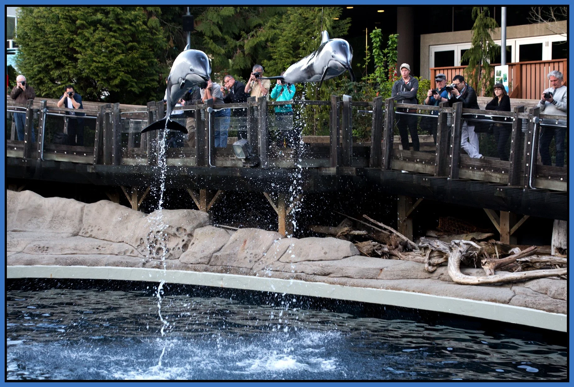 Vancouver Aquarium_Apr 20_2015_CR2_F4995_4x6s.jpg