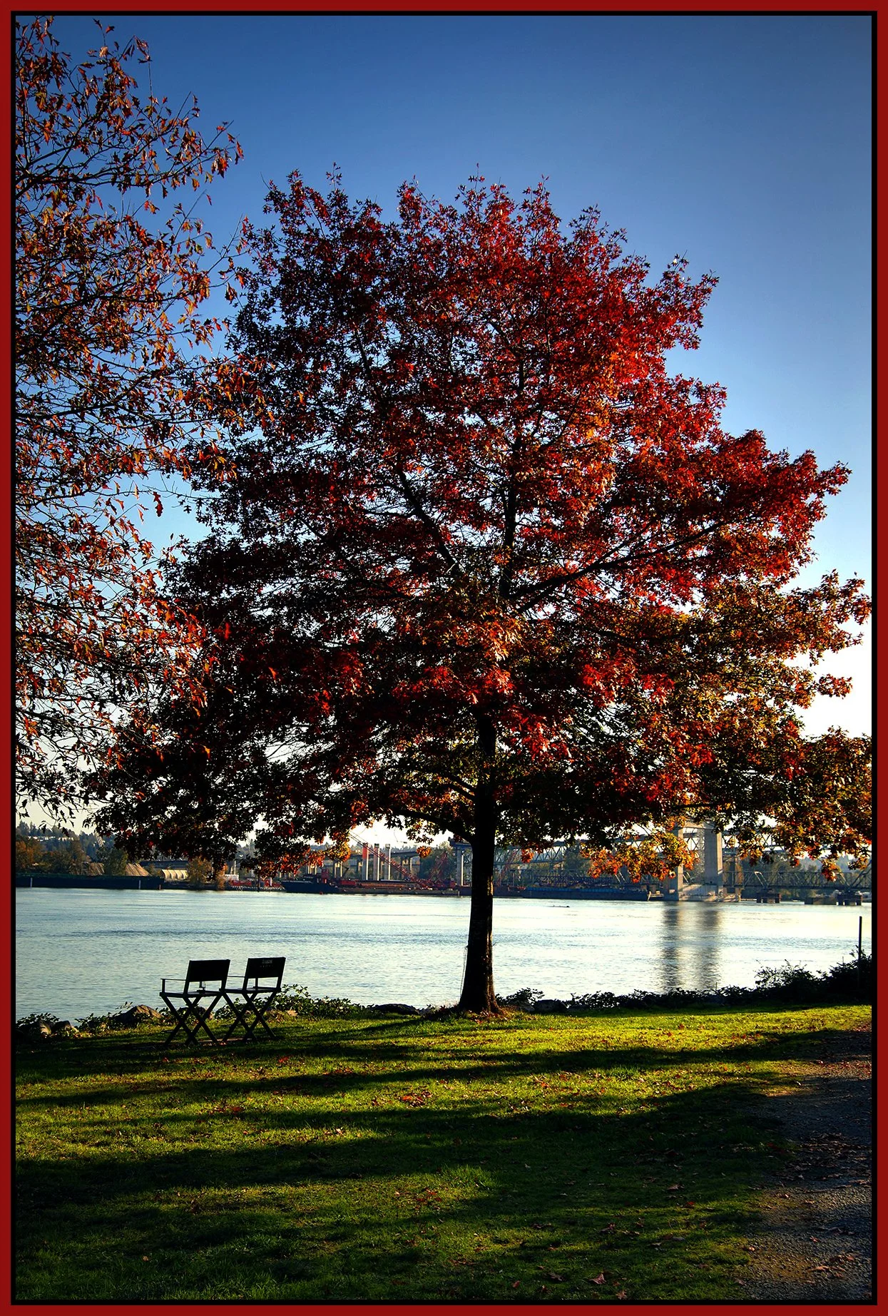 Fraser Regional Greenway Tree LkgSW_Oct 26_2023_HDR_4H8865_peDrkImpct_4x6s.jpg