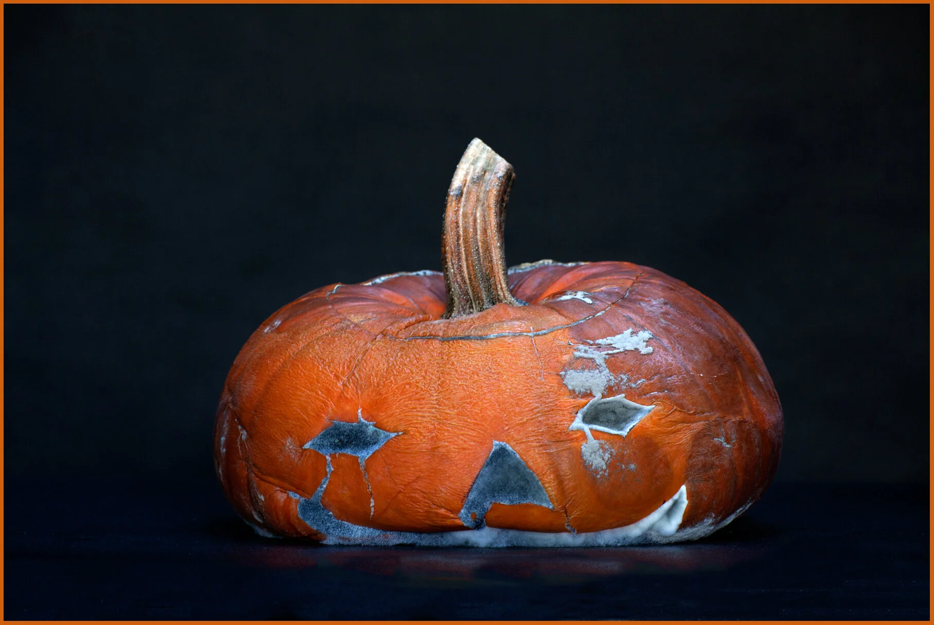 Pumpkin_Nov 13_2013_5969_4x6s.jpg