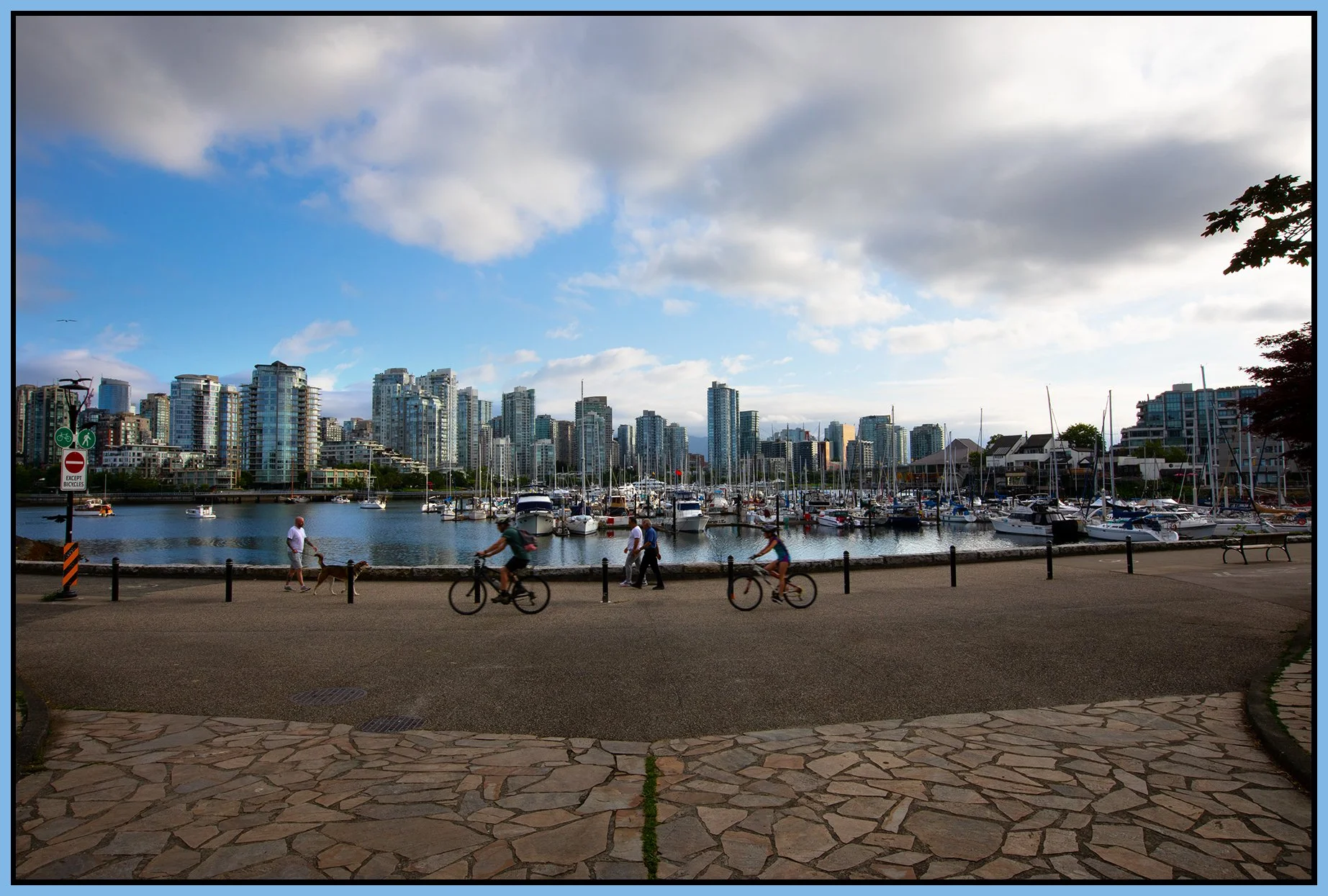 2 View Vancouver_Jul 13_2022_CR2_5B0642_4x6s.jpg