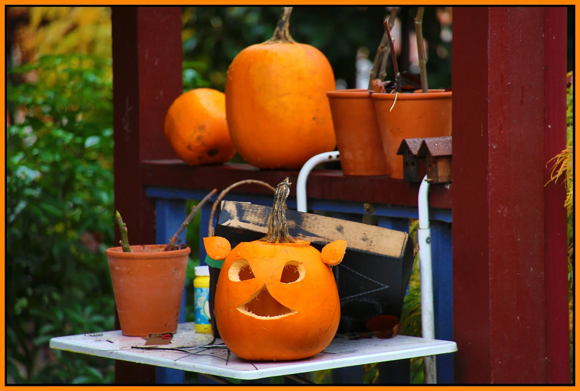 Pumpkin_Nov 2_2015_HDR_FH9489_4x6s.jpg