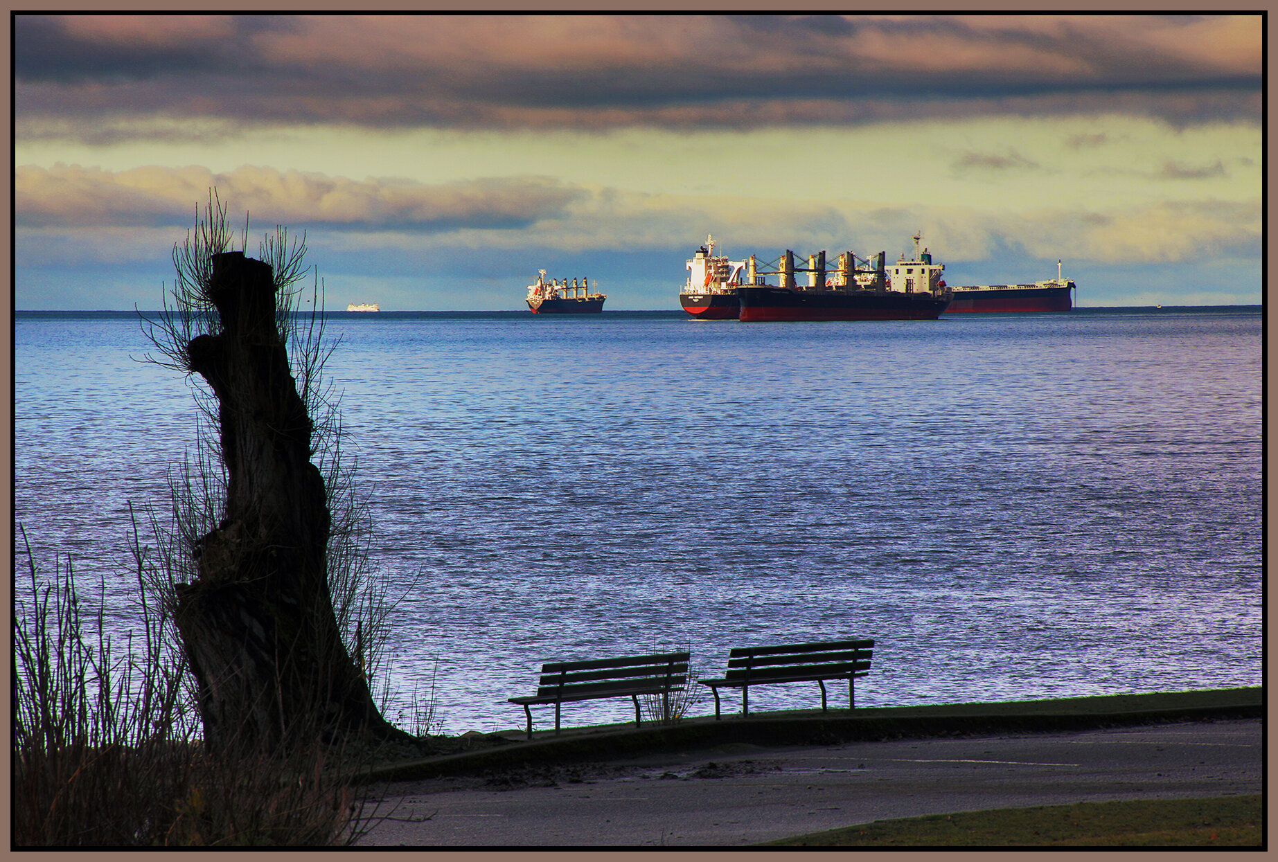 English Bay_Feb 5_2021_HDR_4G3904_peDehaze_4x6s.jpg