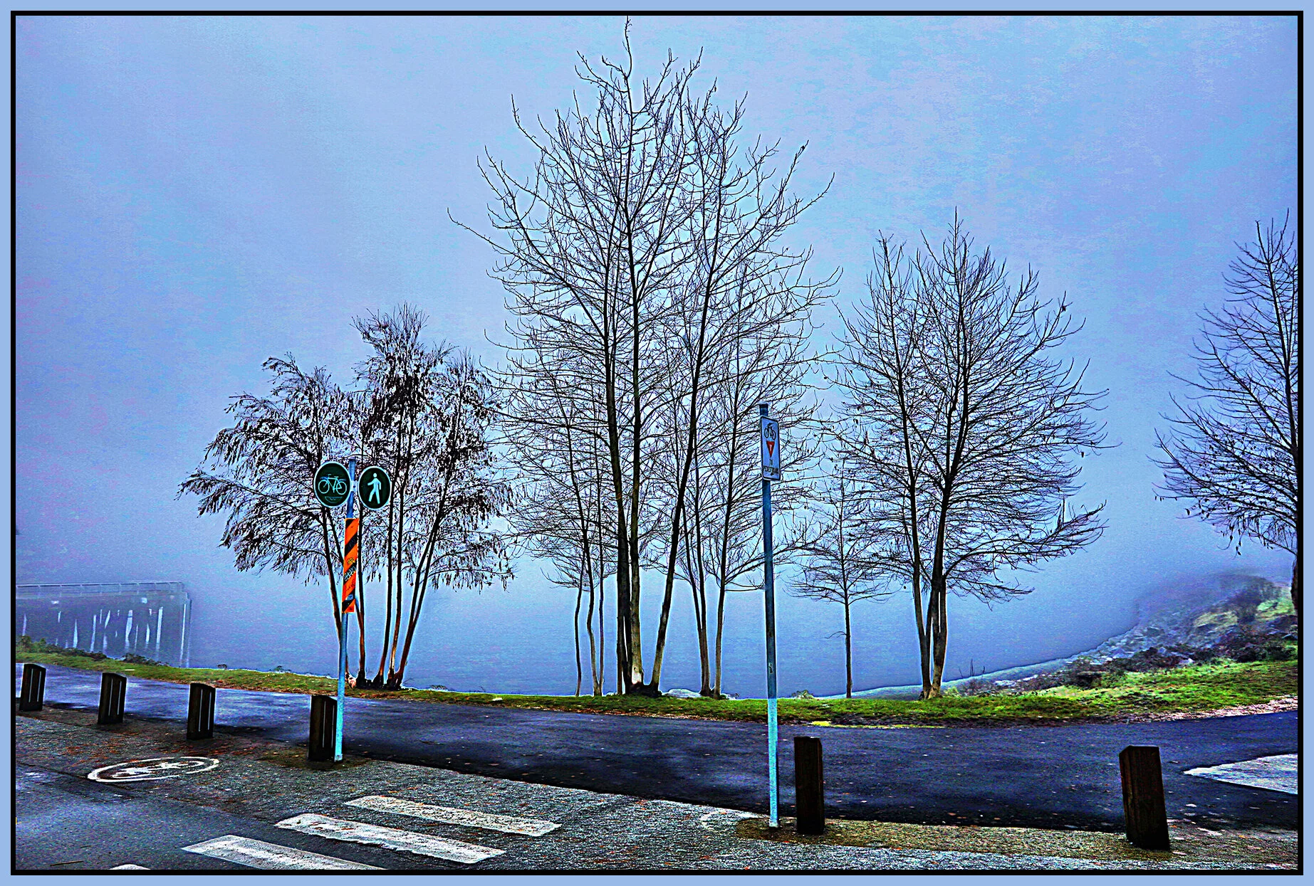 6 View Trees_Jan 14_2018_HDR_C2605_peMeltC_4x6s.jpg