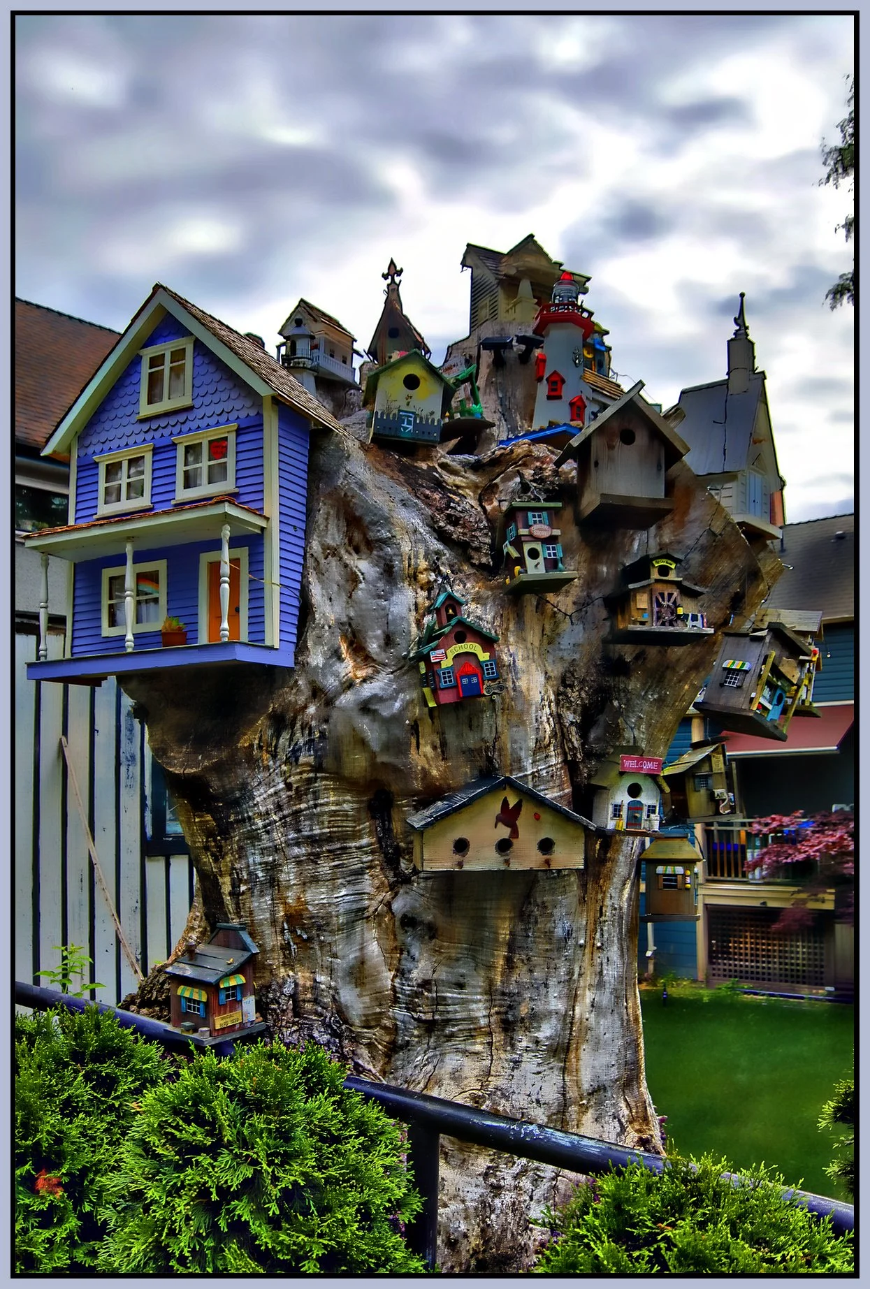 580 Heatley Tree Houses_July 1_2024_HDR_5E5531_peHdr2013_1_4x6s.jpg