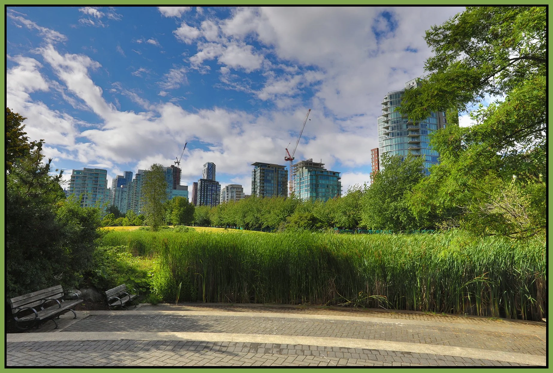 Devonian Park Plants_Jul 4_2026_HDR_4L6252_4x6s.jpg