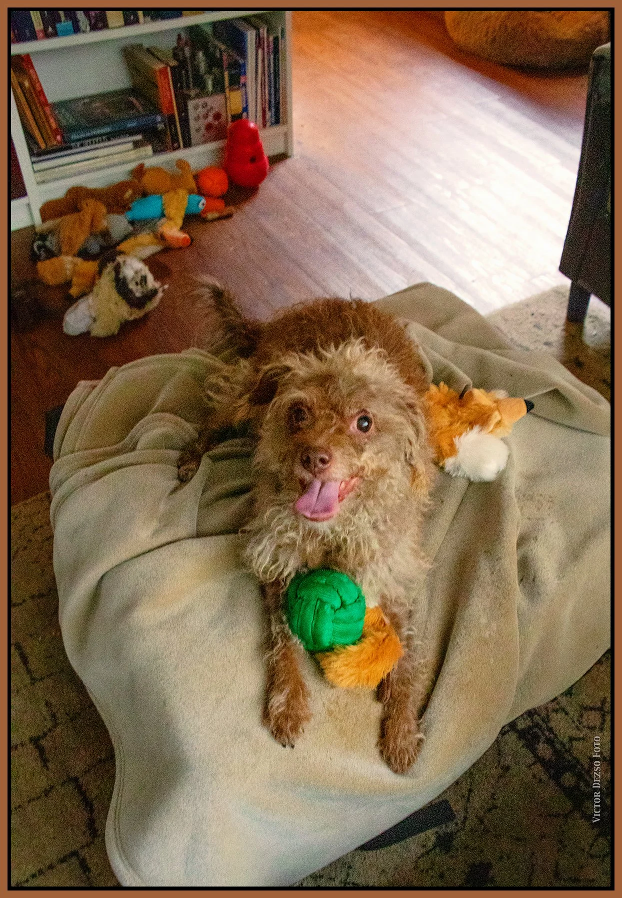Frances_Dec 26_2024_CR2_4J4782_peHyprstrip_Pop_4x6s.jpg