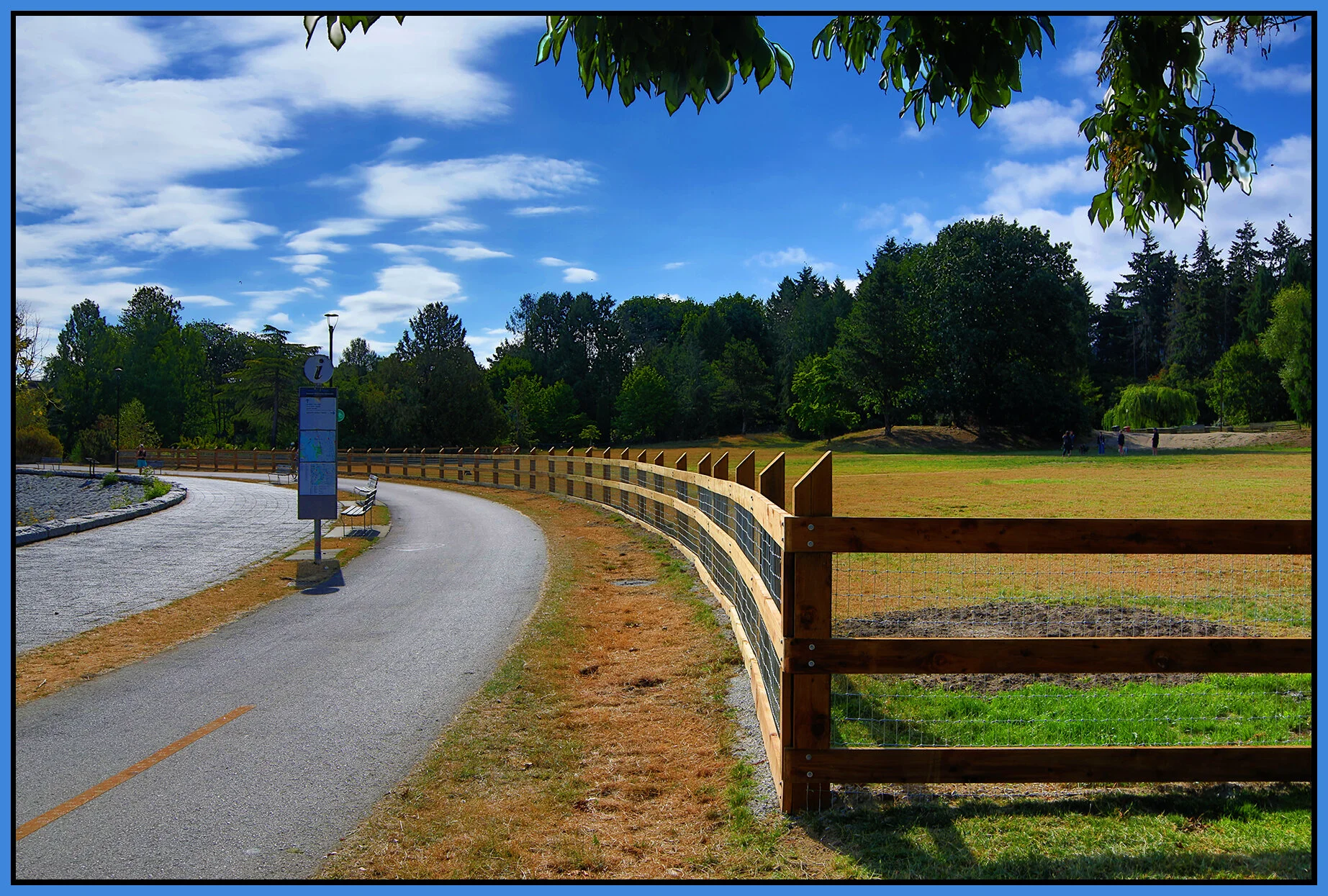 Charleson Pk New Fence_Jul 16_2021_HDR_4G0684_peExpMrg_4x6s.jpg