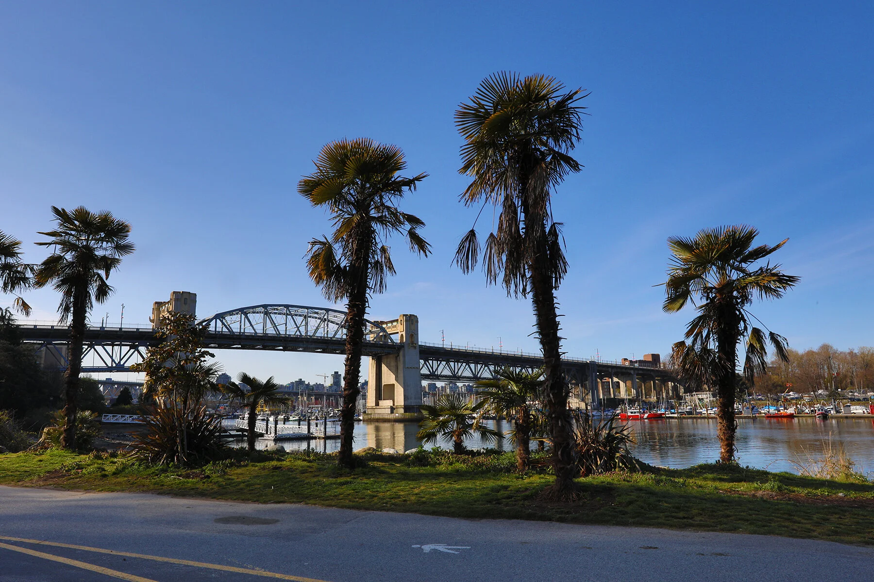 Palms Burrard Bridge_Apr 6_2020_HDR_F7796_4x6.jpg
