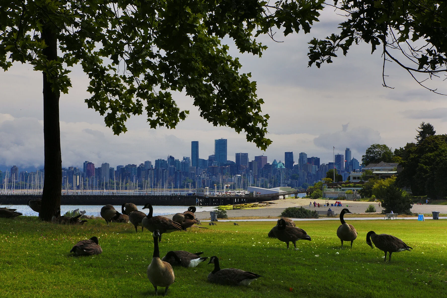 Vancouver from Jericho Pk_Jul 17_2020_HDR_3B8977_4x6.jpg