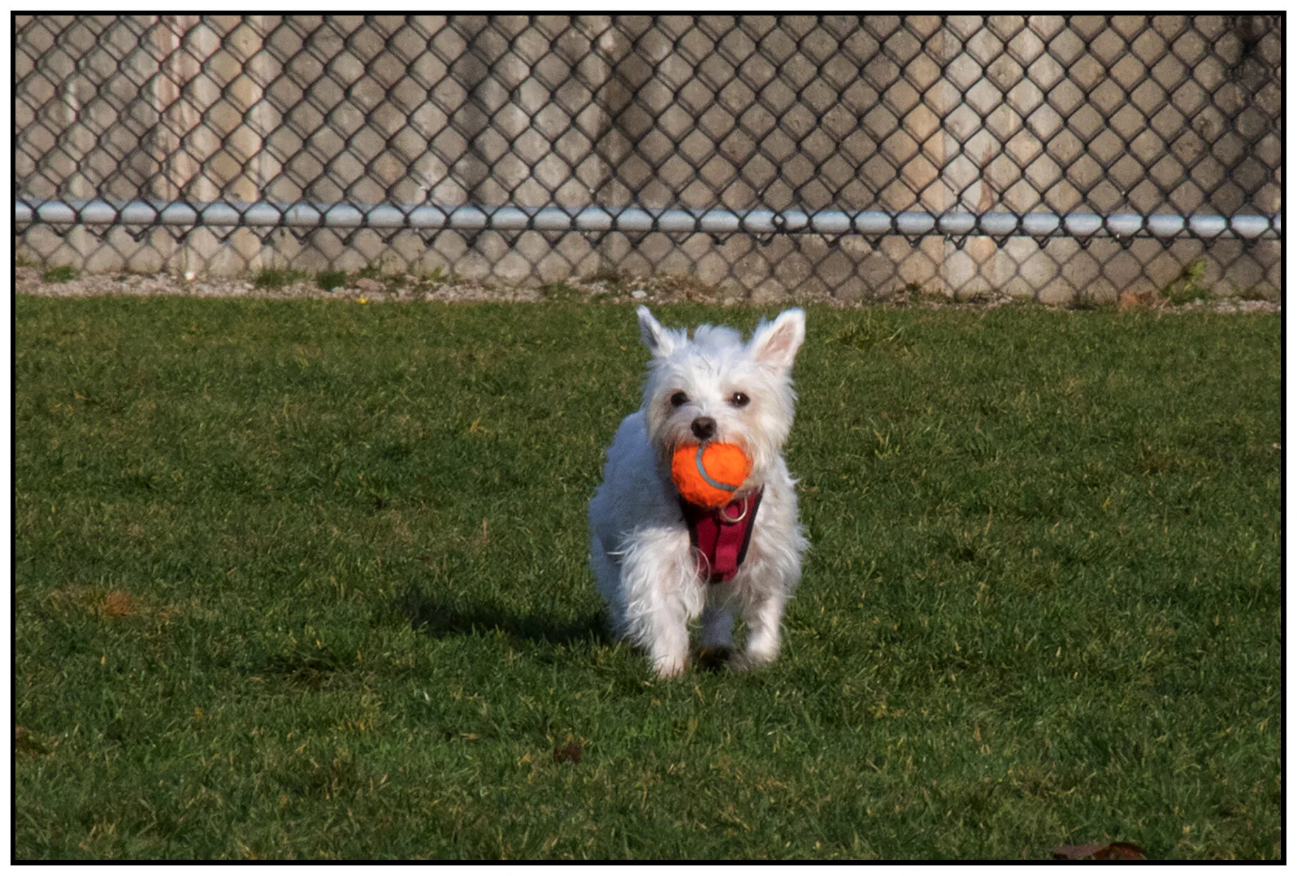 Pixel in New West_Dec 25_2019_F0117_4x6s.jpg