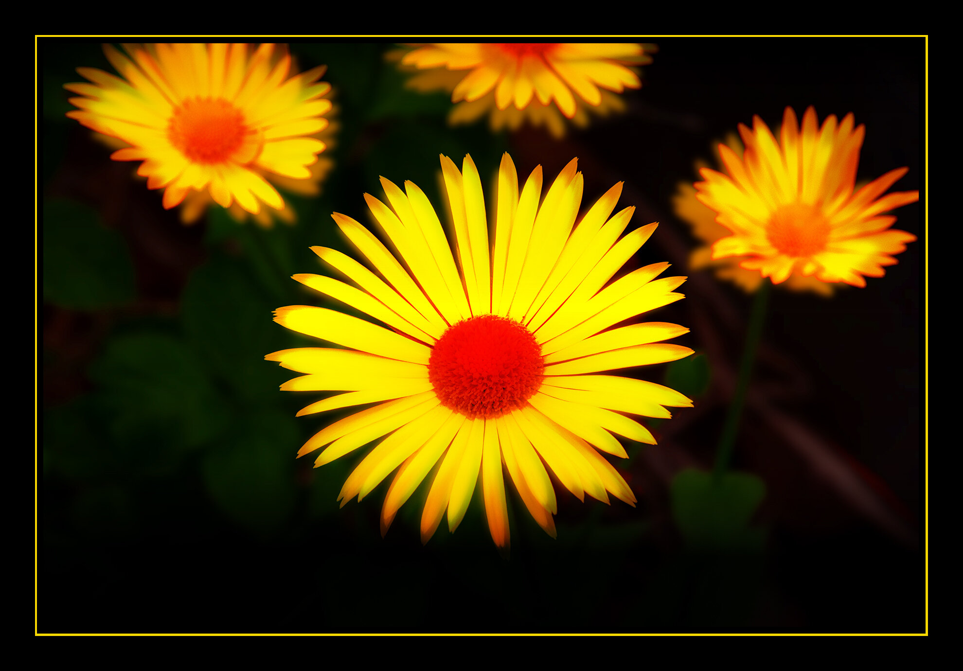 Flowers_Apr 28_2020_CR2_3B4369_peGhostly_4x6s.jpg
