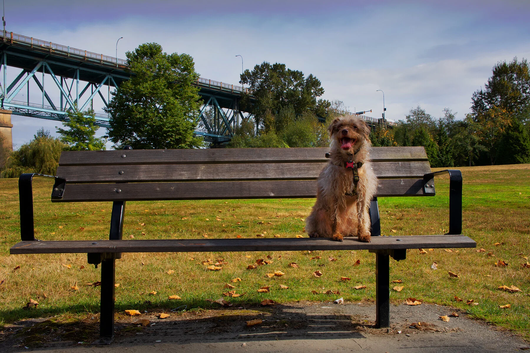 Frances at Brownsville_Sep 21_2020_CR2_4G4177_peLd_4x6.jpg