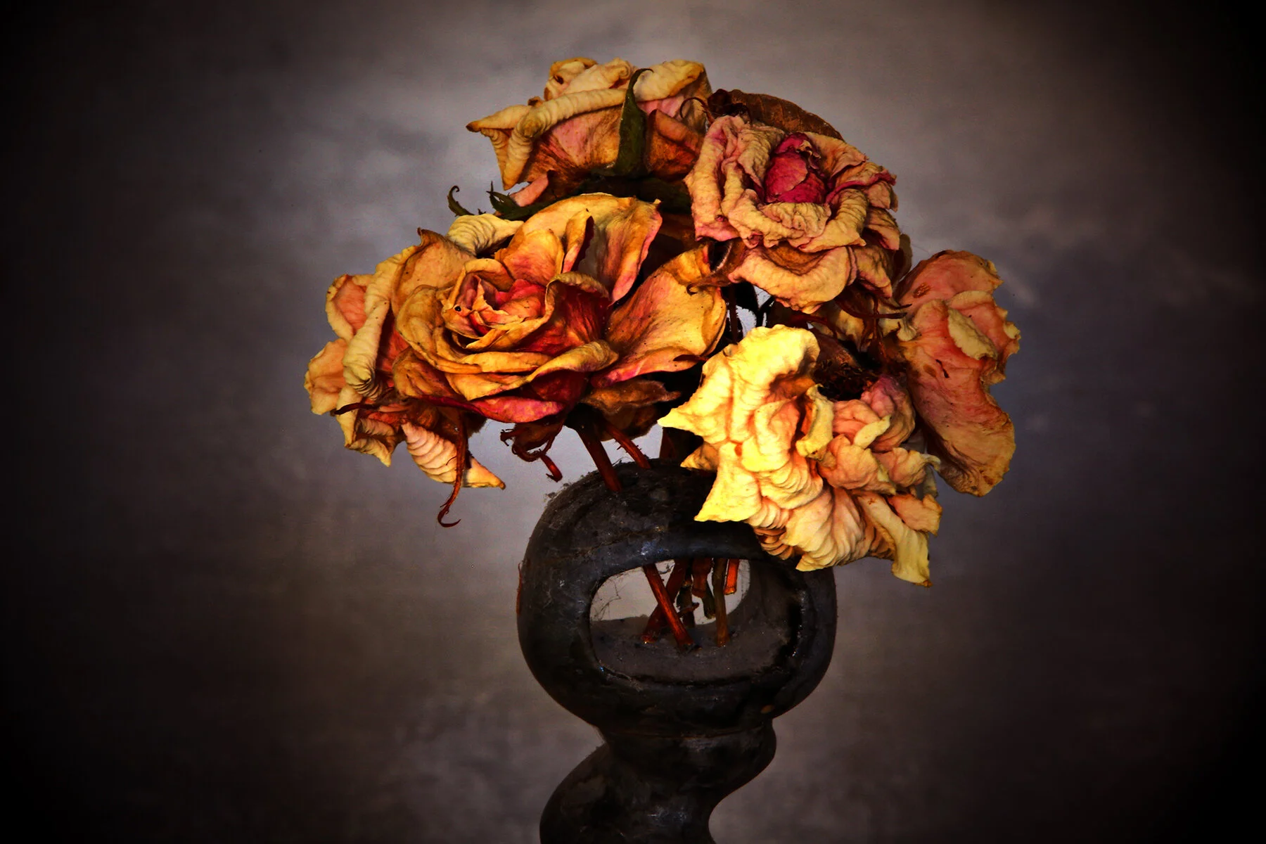 Flowers Dried_Sep 28_2020_HDR_3B3021_peWw_Intnse_4x6.jpg